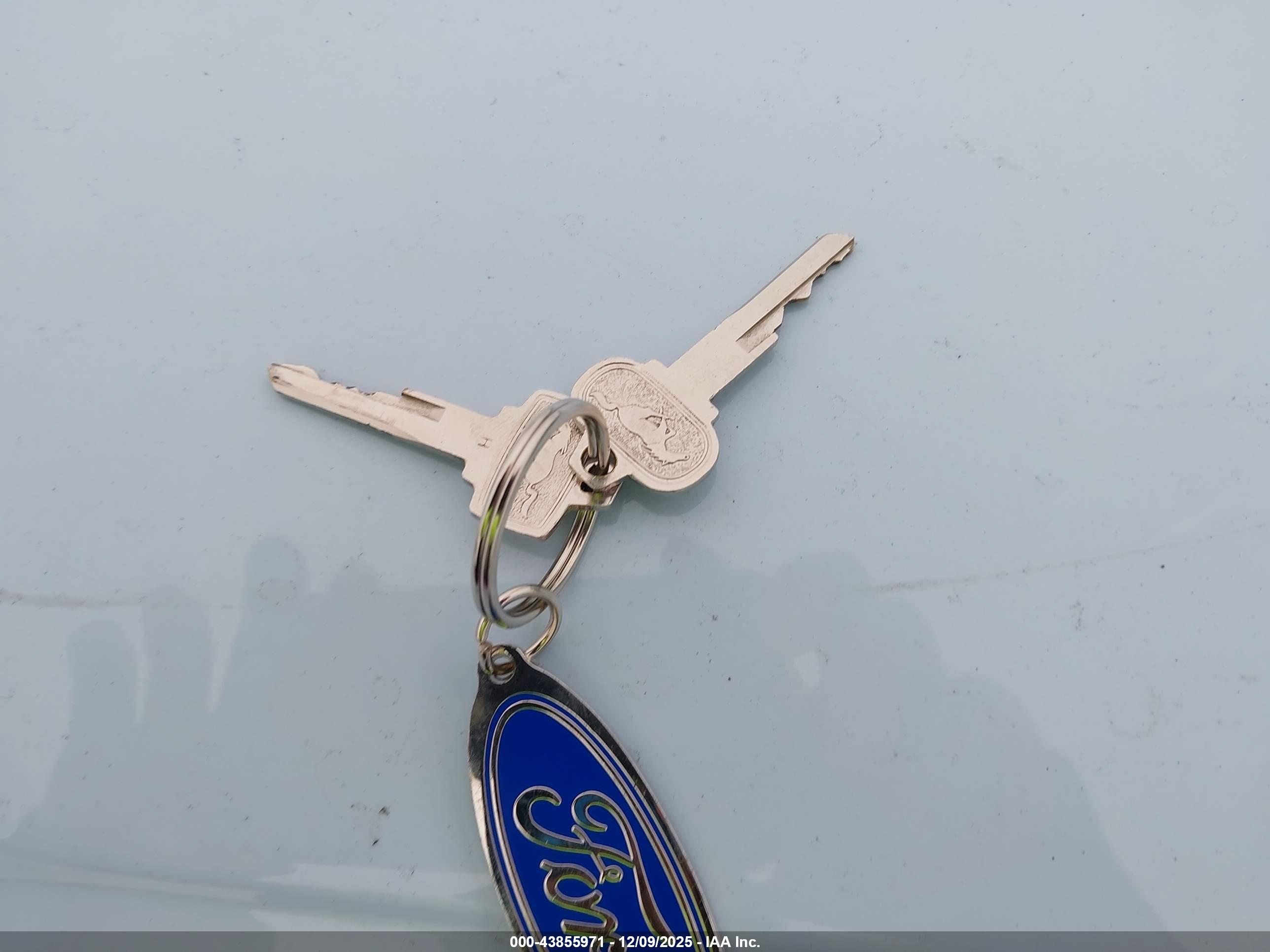 FORD MUSTANG image 11