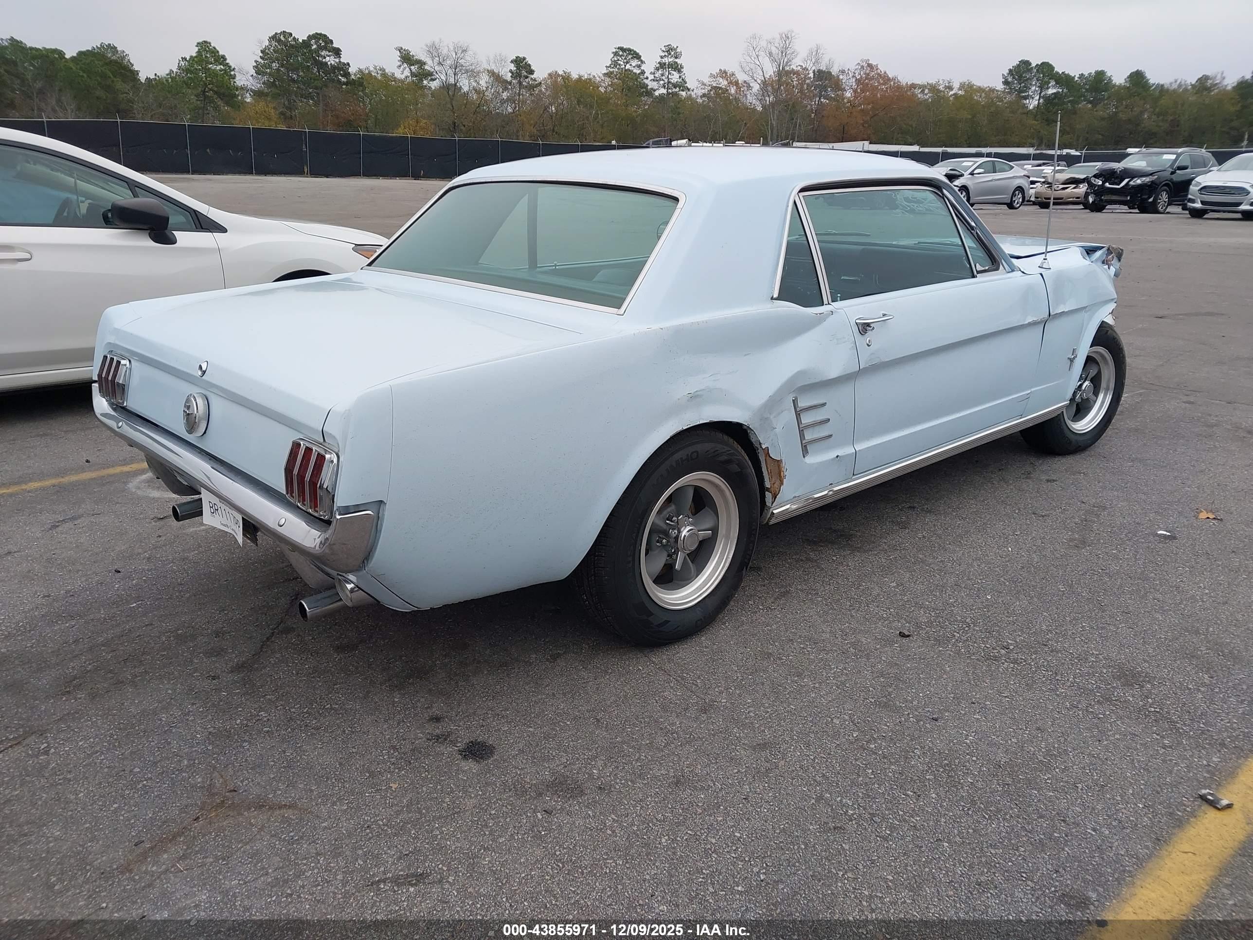 FORD MUSTANG image 4