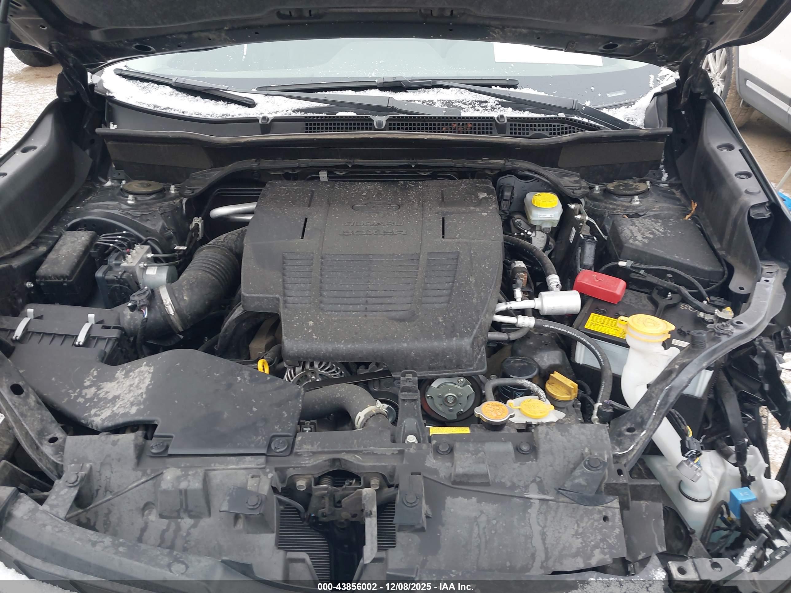 SUBARU FORESTER image 10