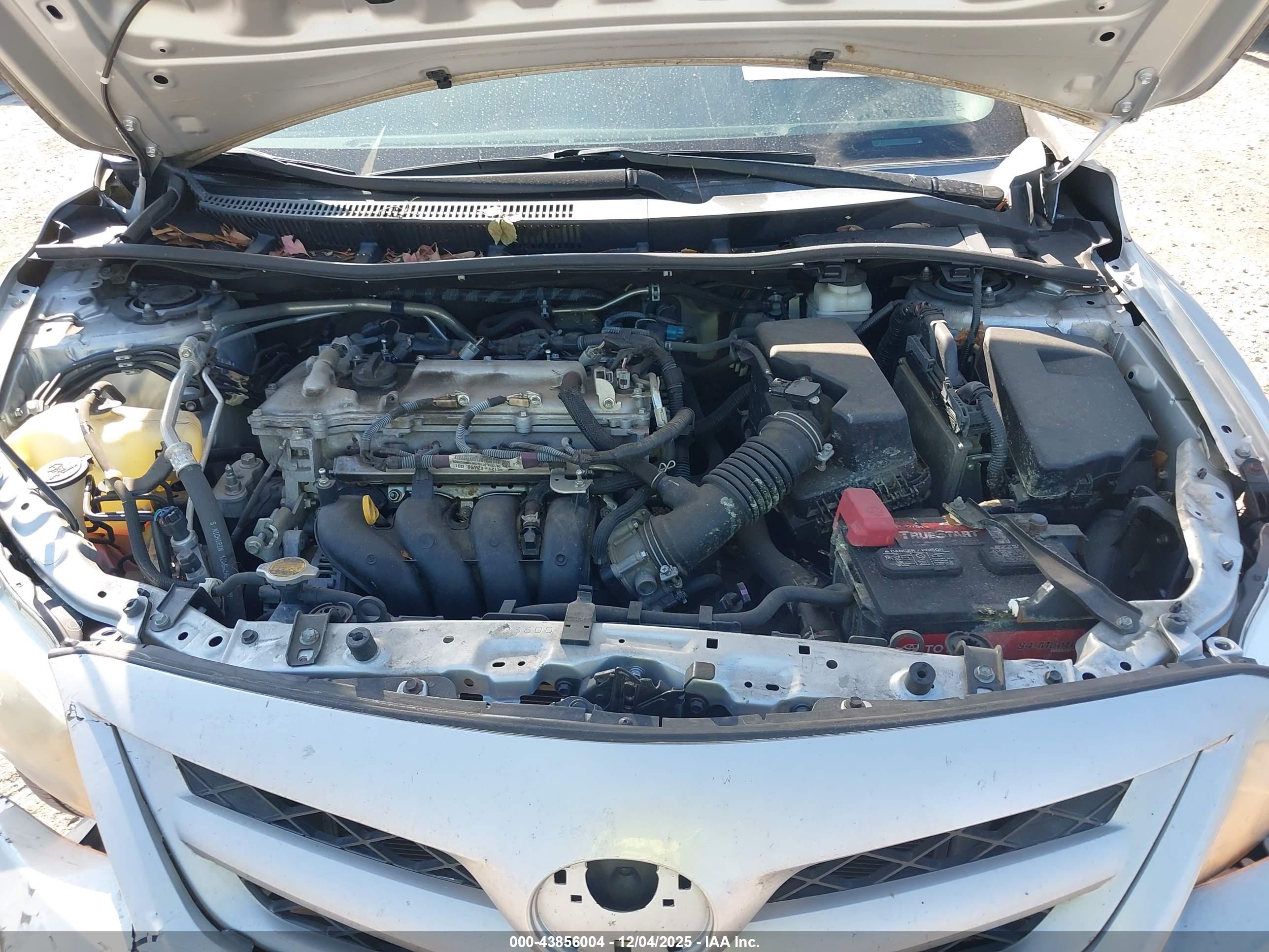 TOYOTA COROLLA image 10