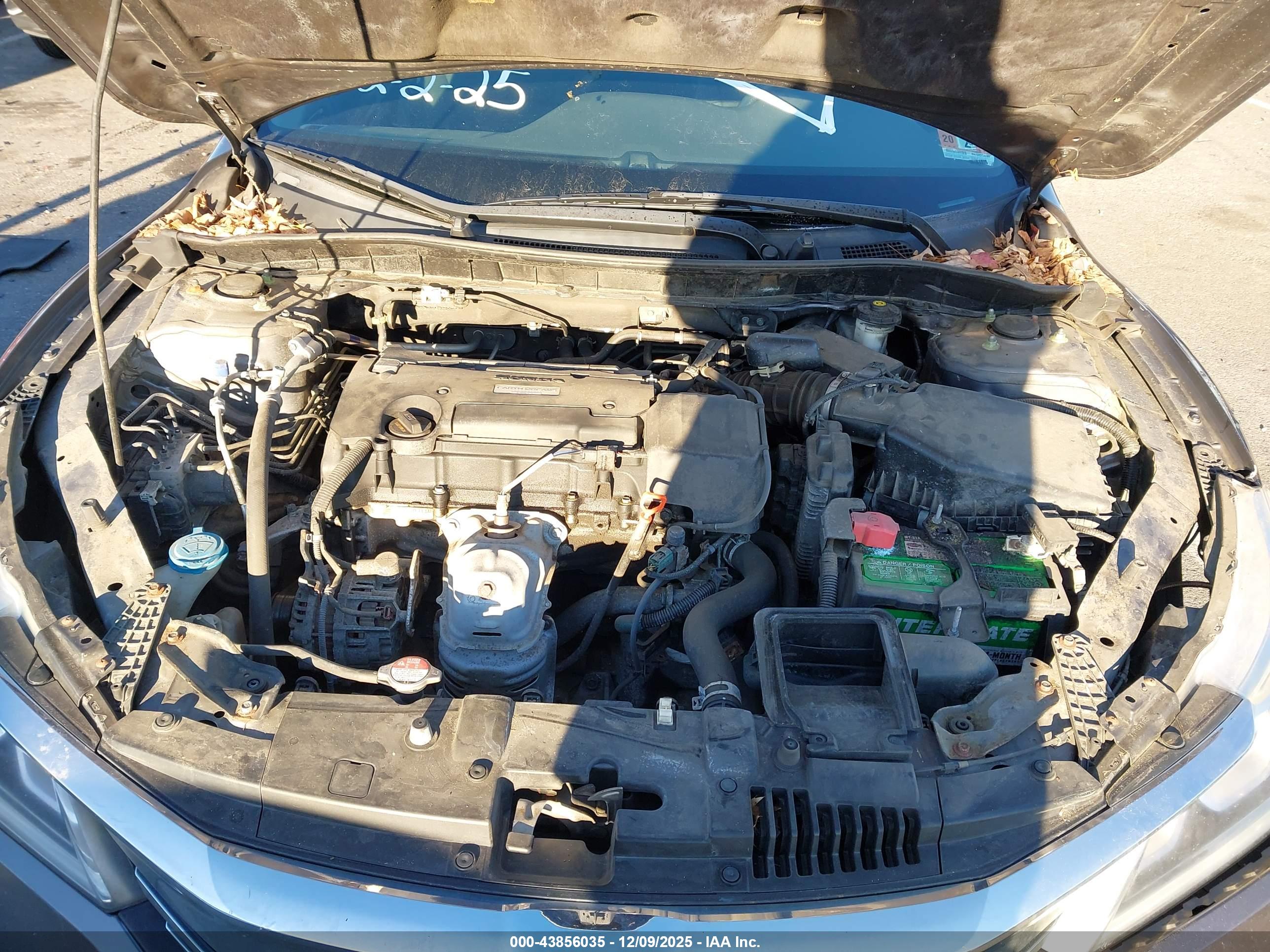 HONDA ACCORD image 10