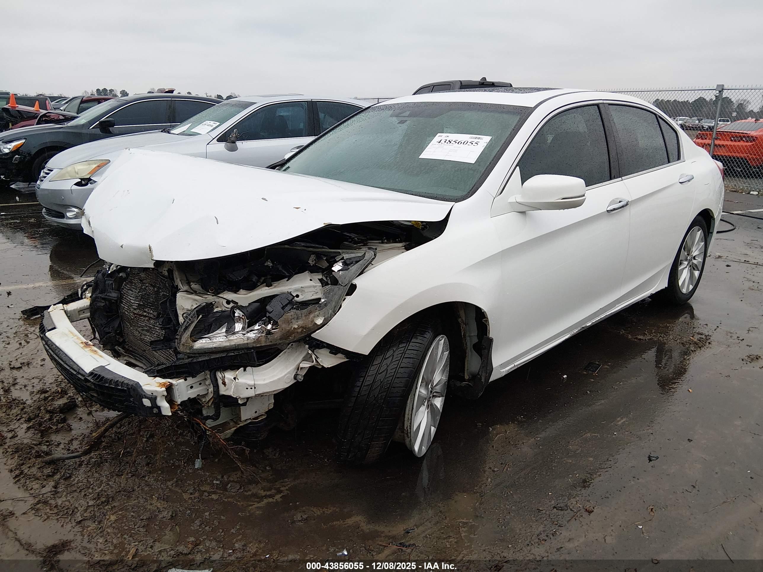 HONDA ACCORD image 2