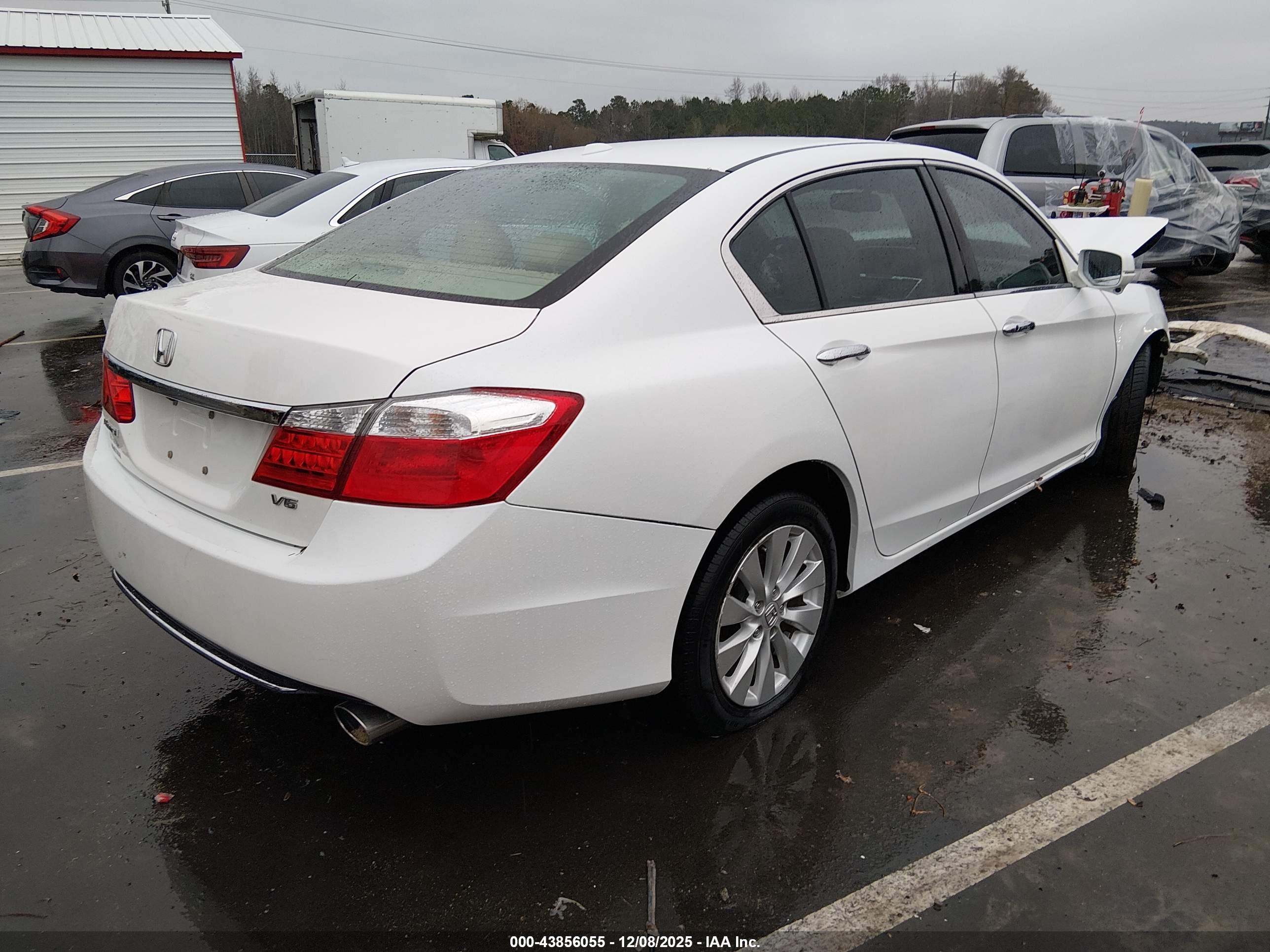 HONDA ACCORD image 4