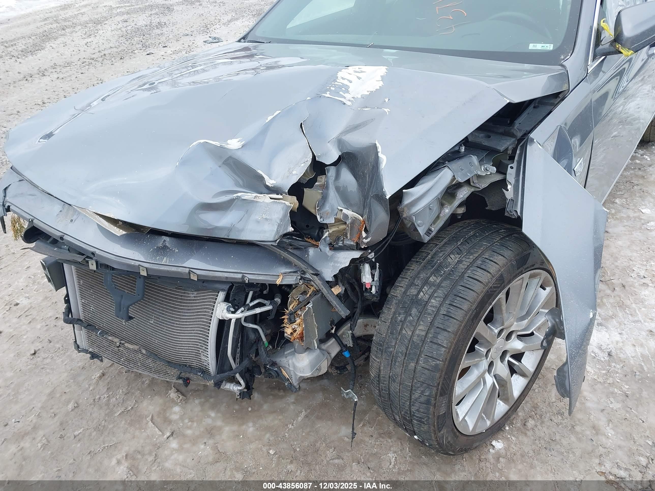 CADILLAC CT6 image 6