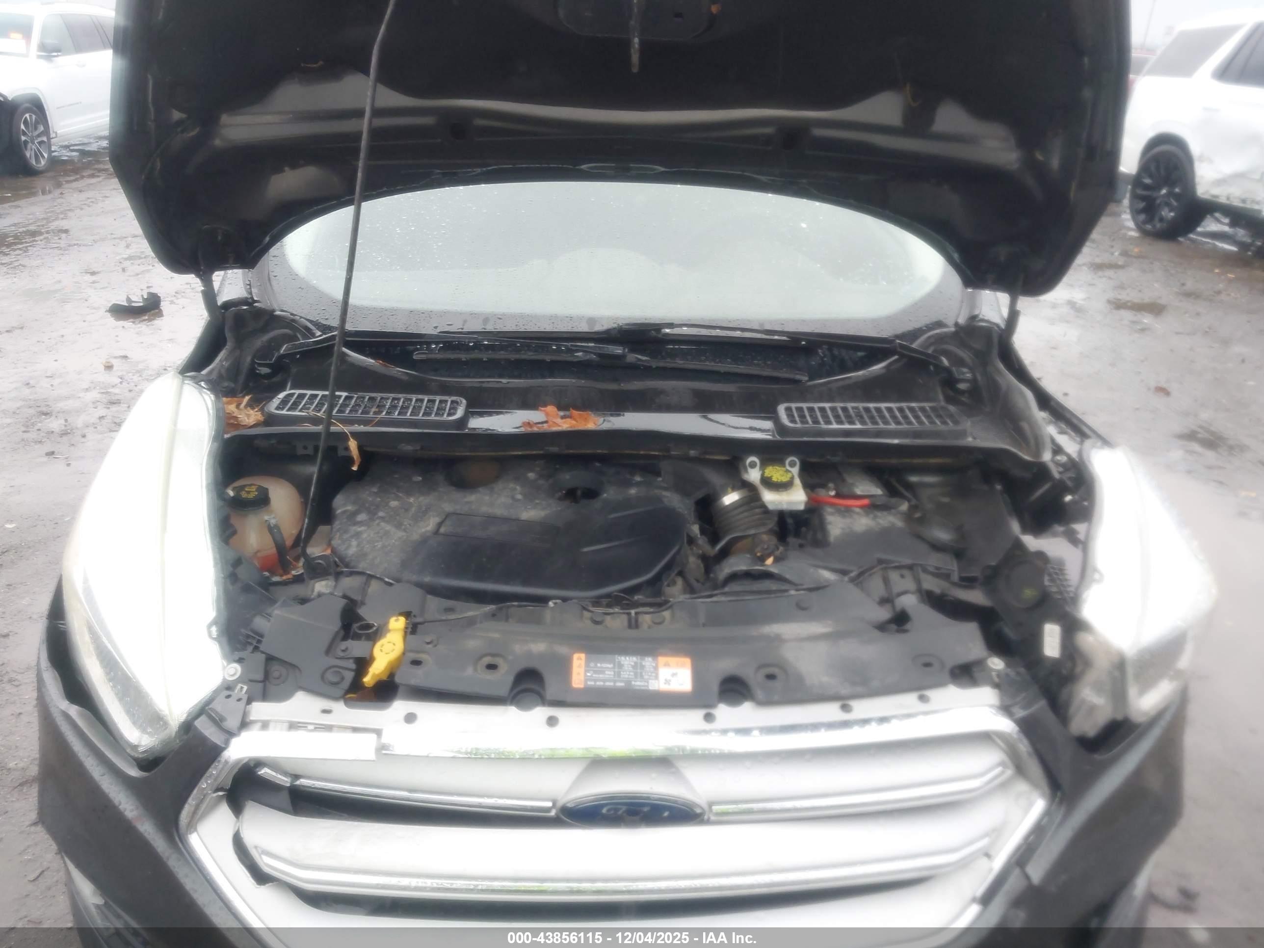 FORD ESCAPE image 10