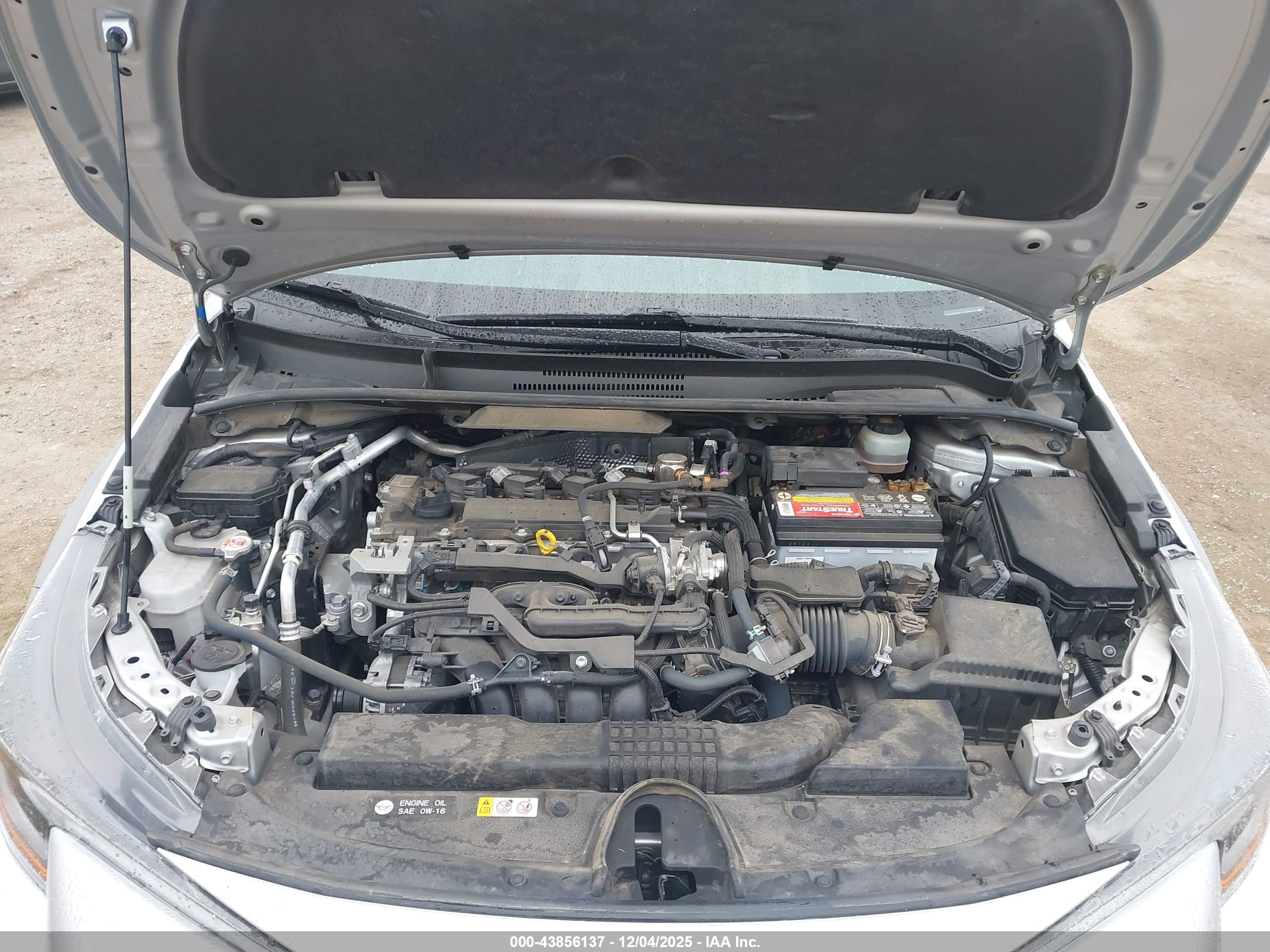 TOYOTA COROLLA image 10