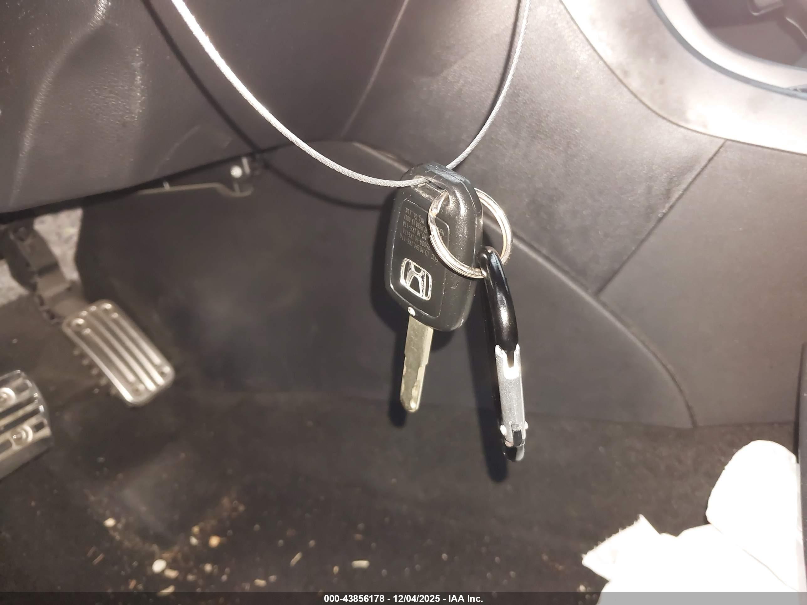 HONDA ACCORD image 11