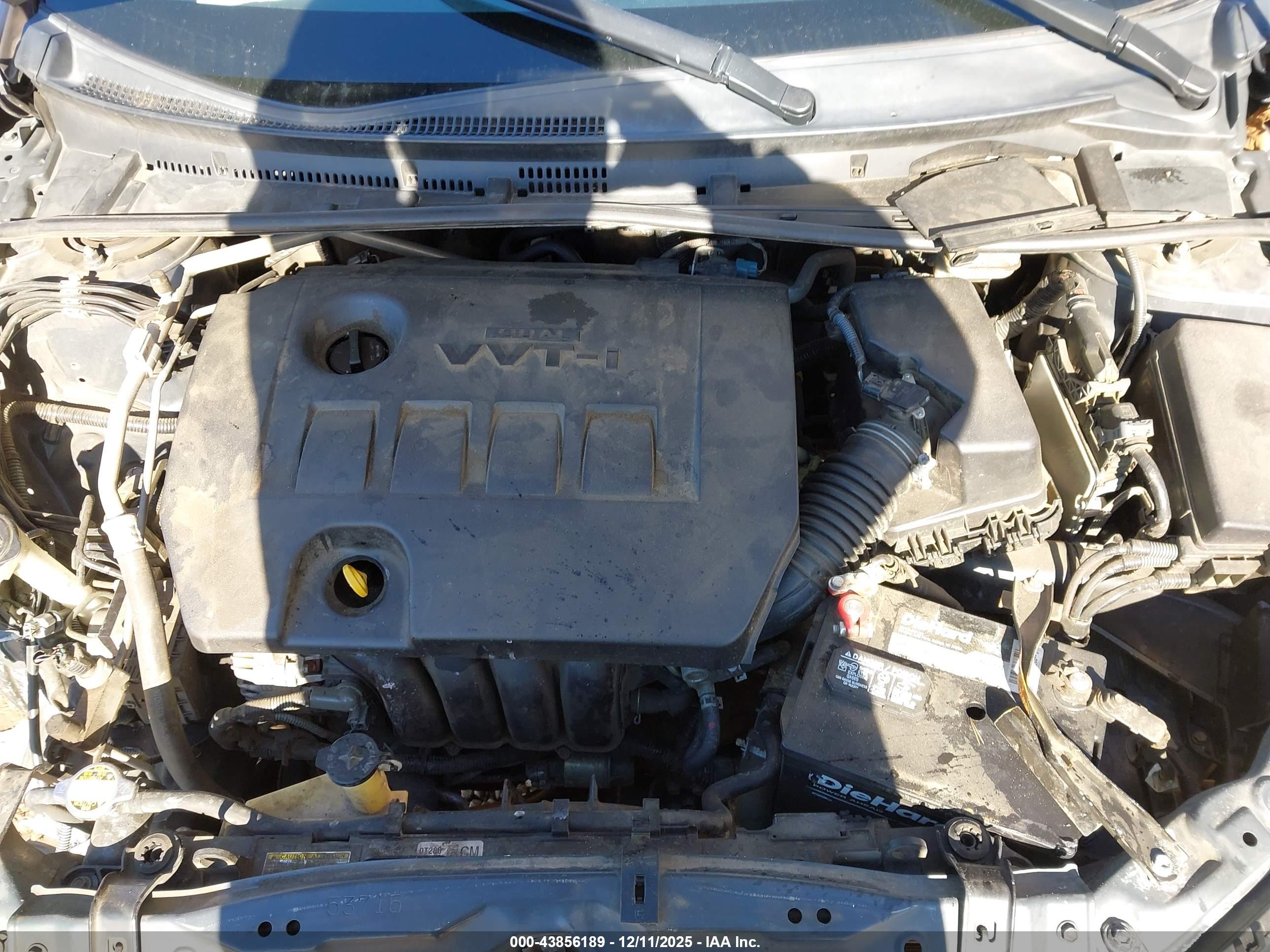 TOYOTA COROLLA image 10