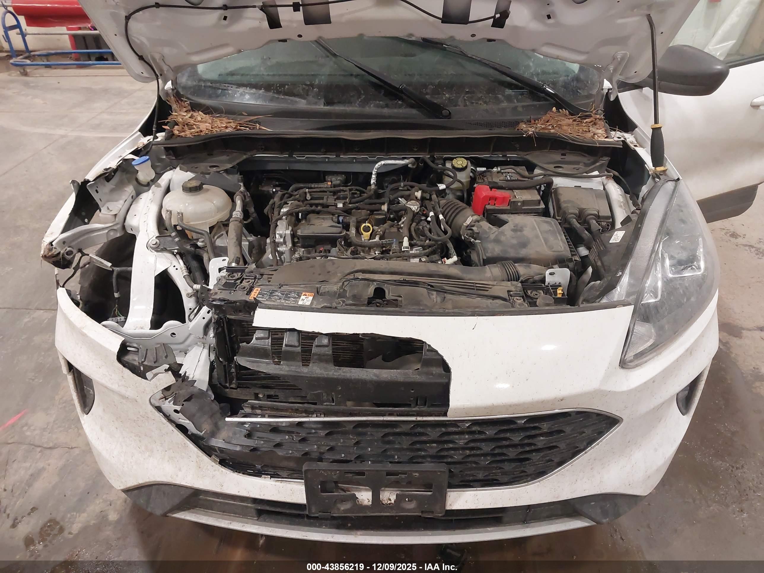 FORD ESCAPE image 10