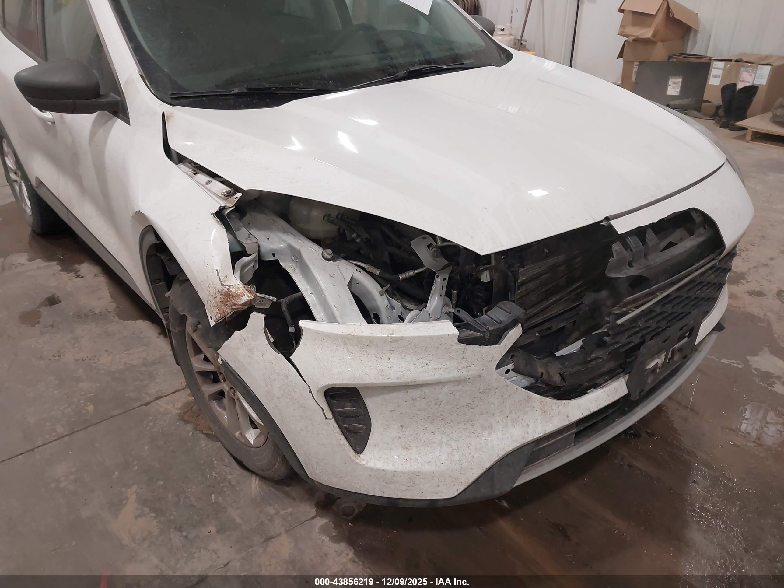 FORD ESCAPE image 6