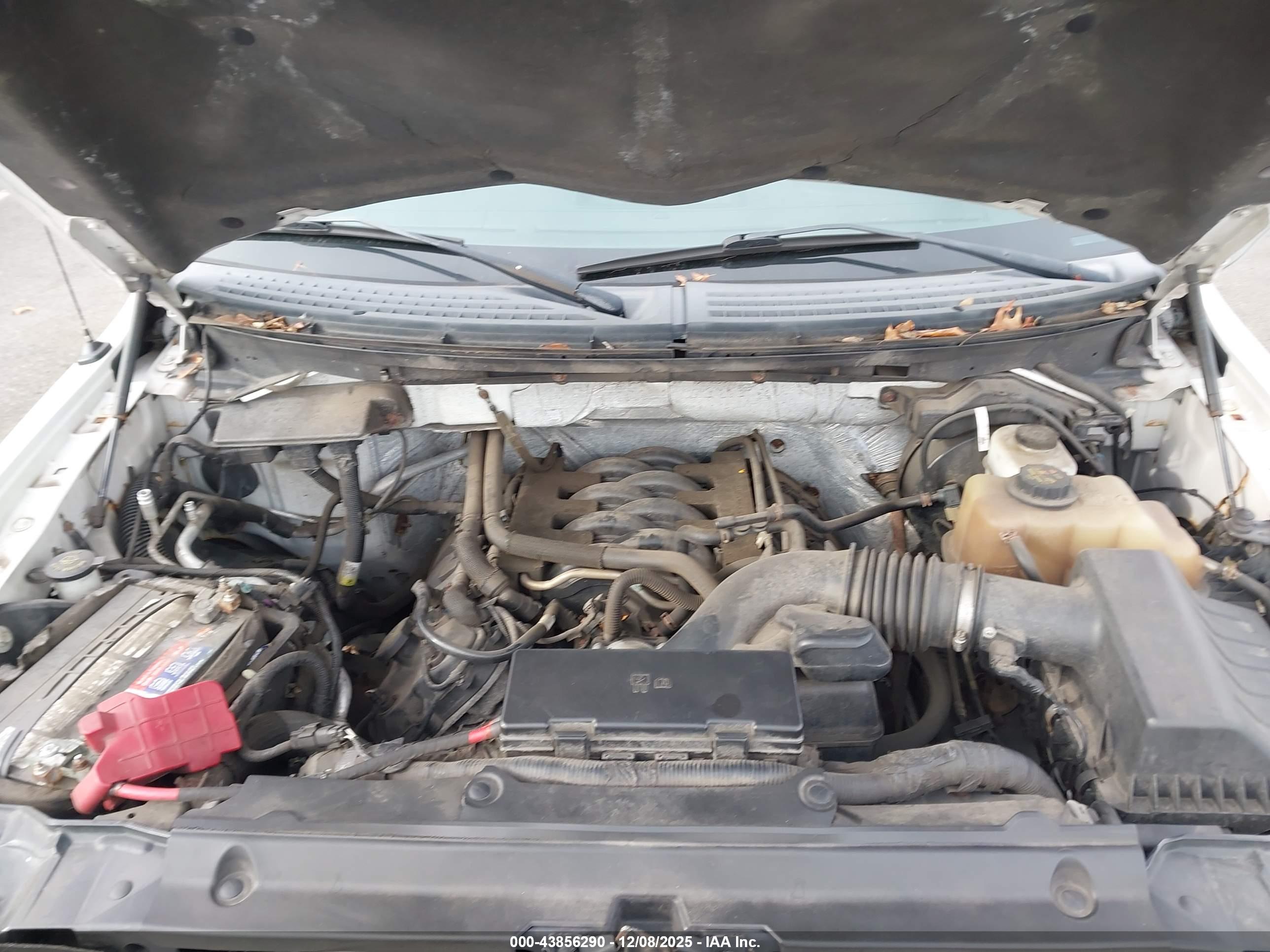 FORD F-150 image 10