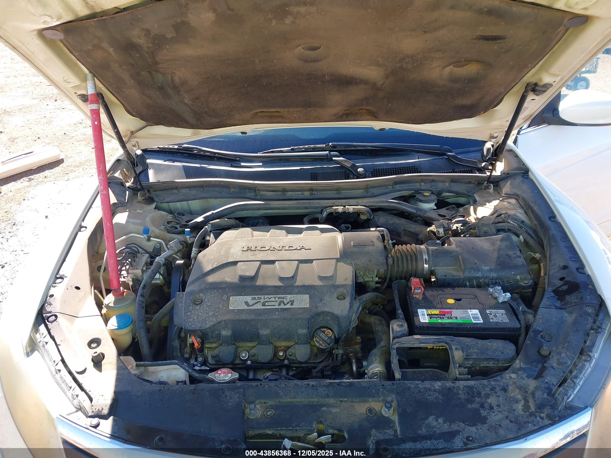 HONDA ACCORD image 10
