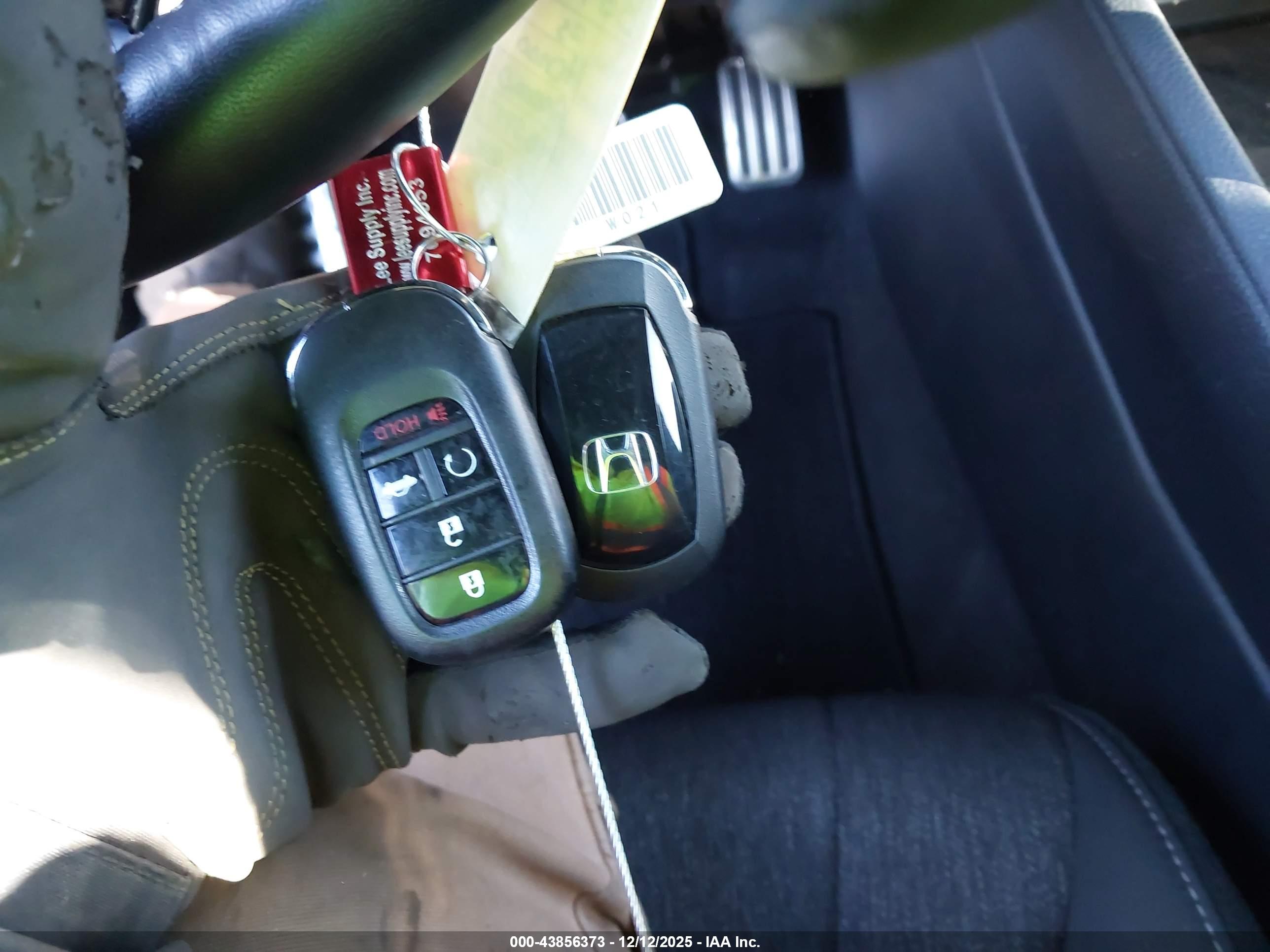 HONDA ACCORD image 11