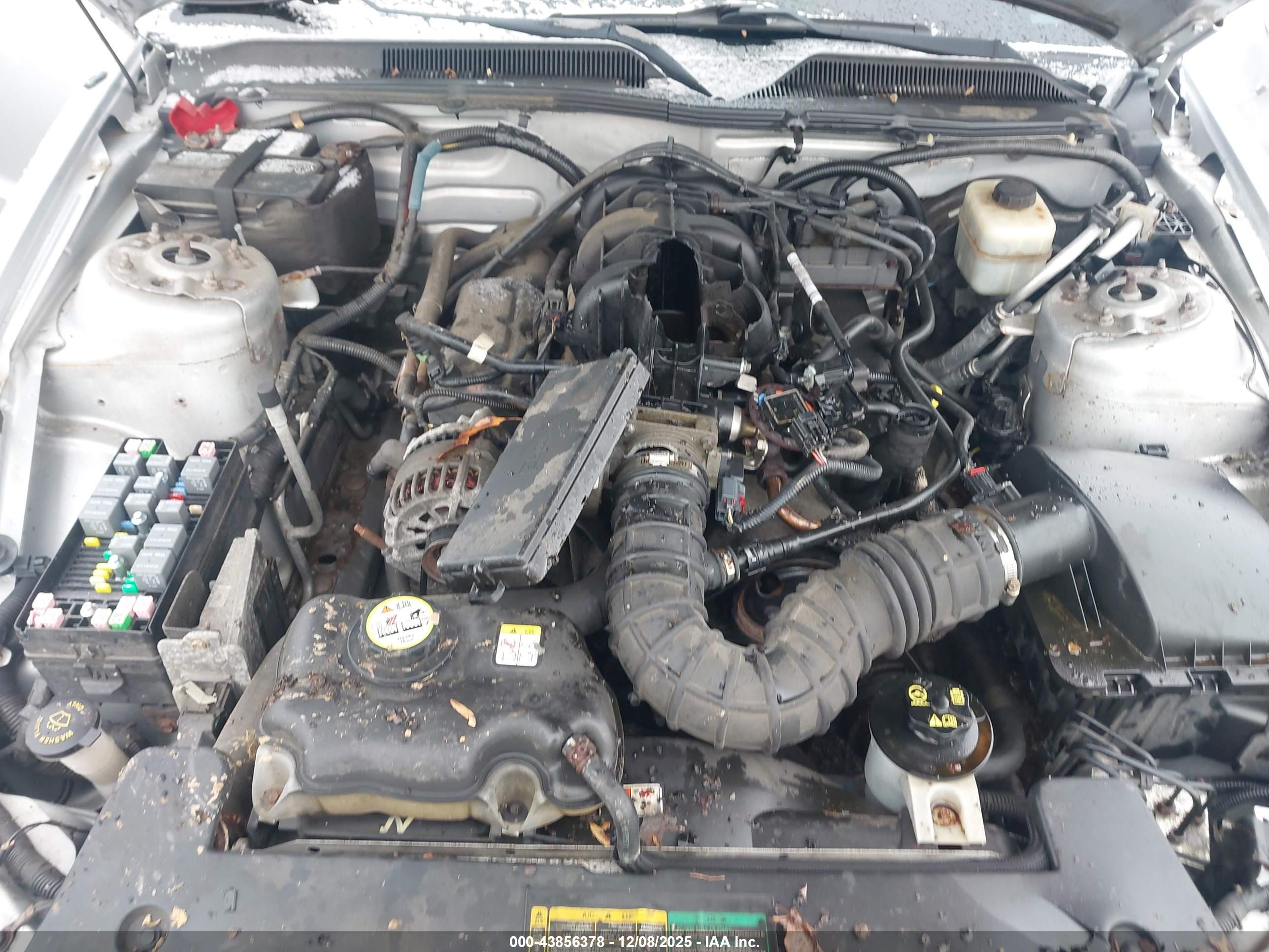 FORD MUSTANG image 10