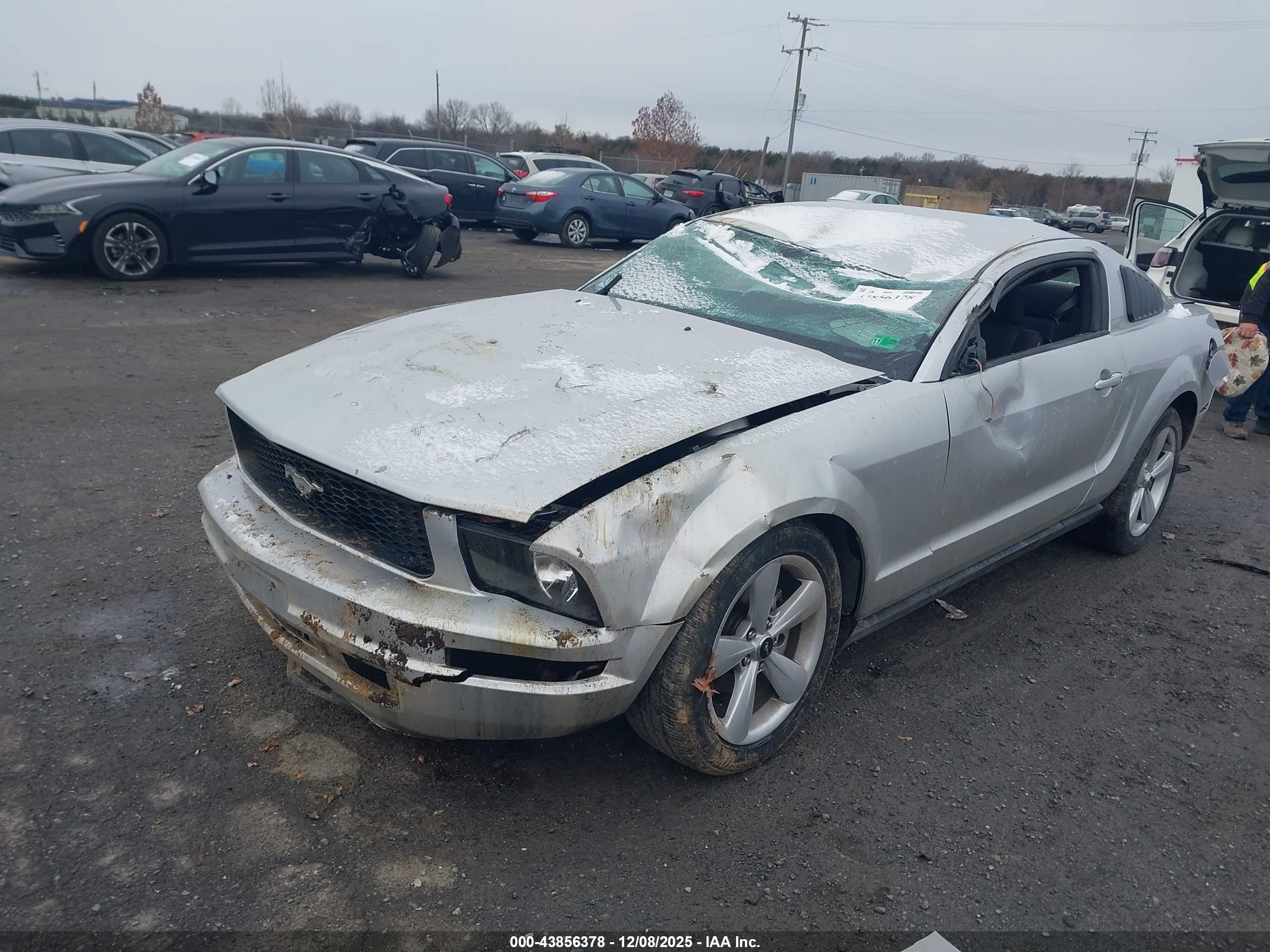 FORD MUSTANG image 2