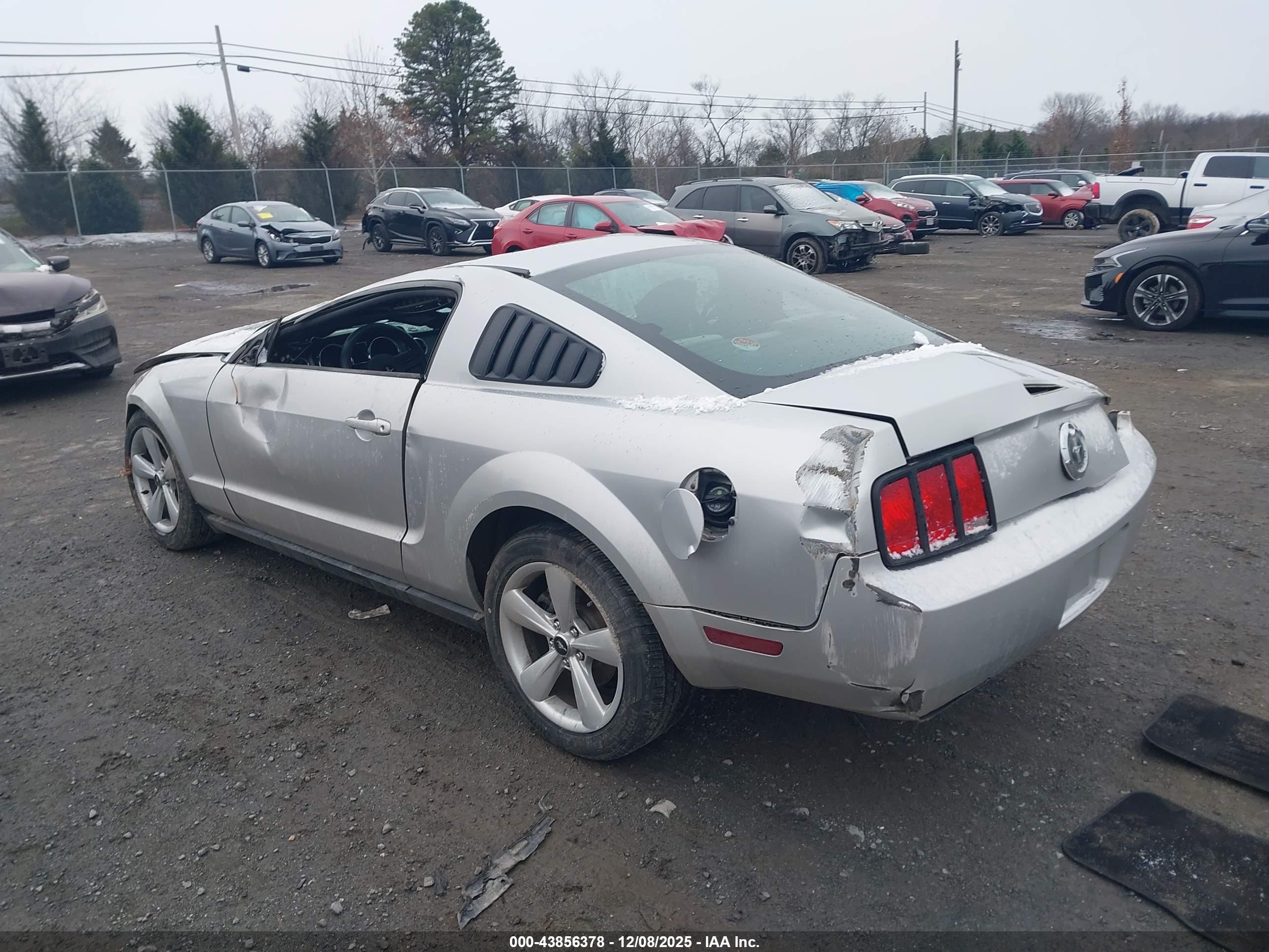 FORD MUSTANG image 3
