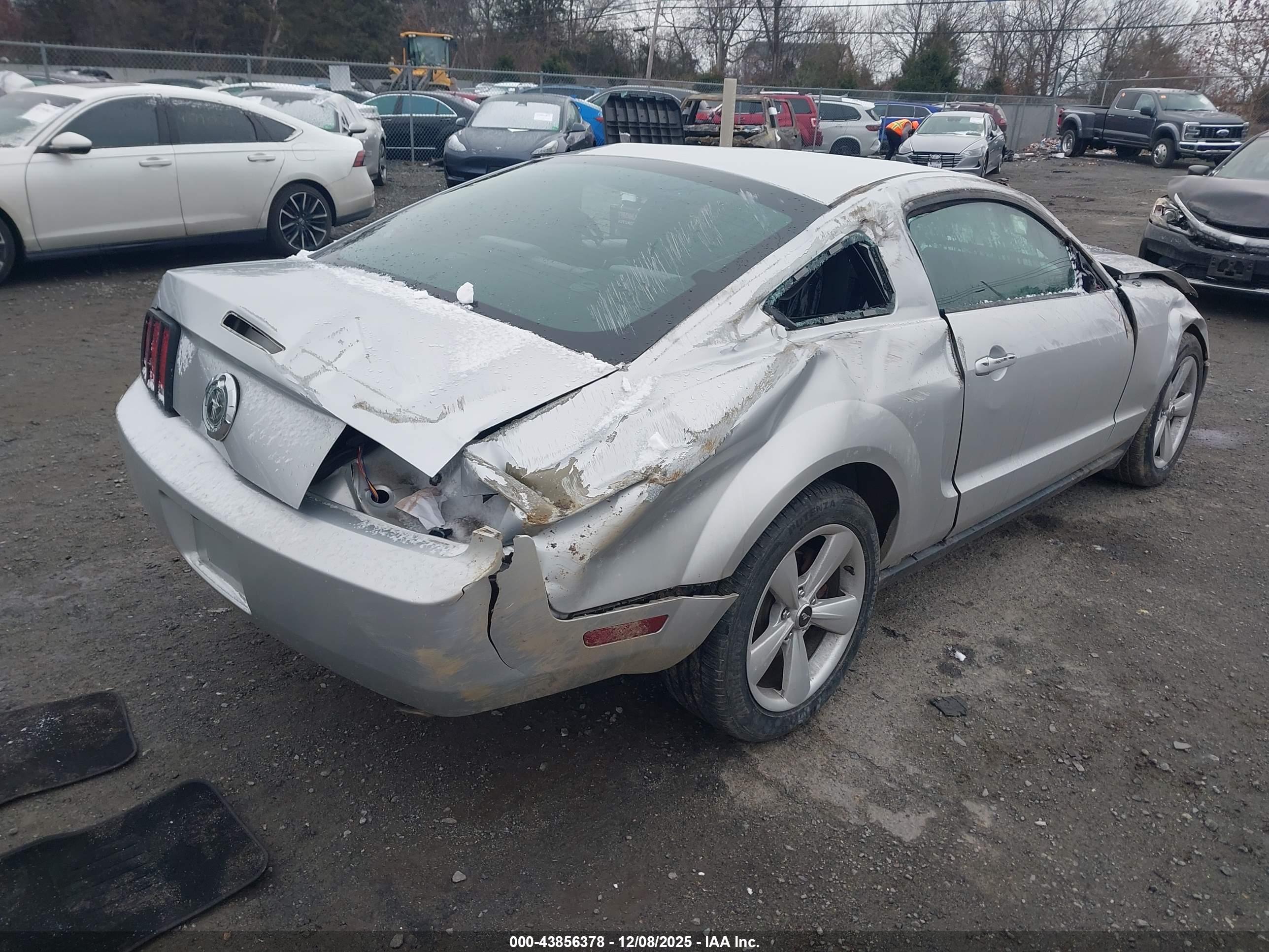 FORD MUSTANG image 4