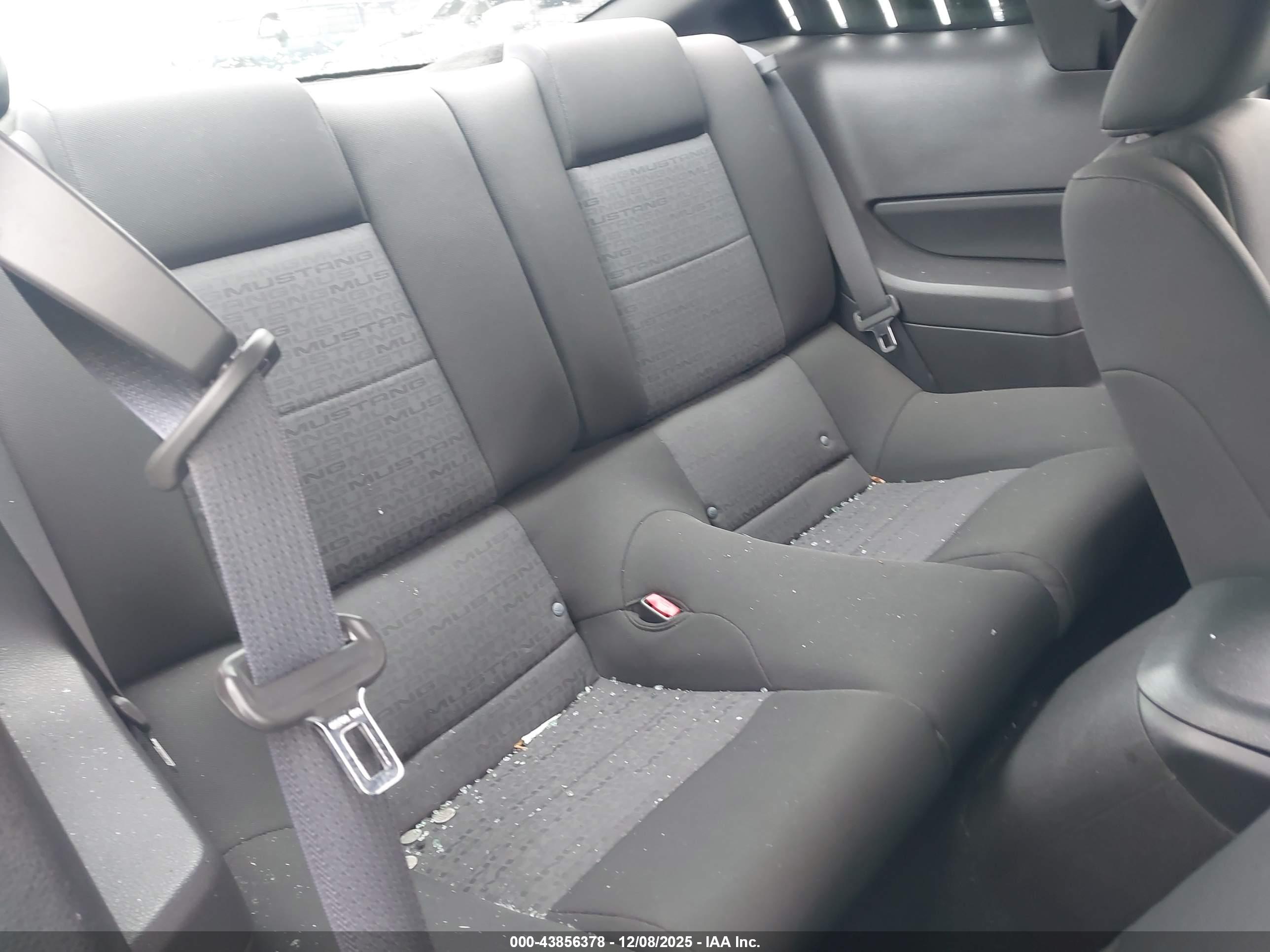 FORD MUSTANG image 8