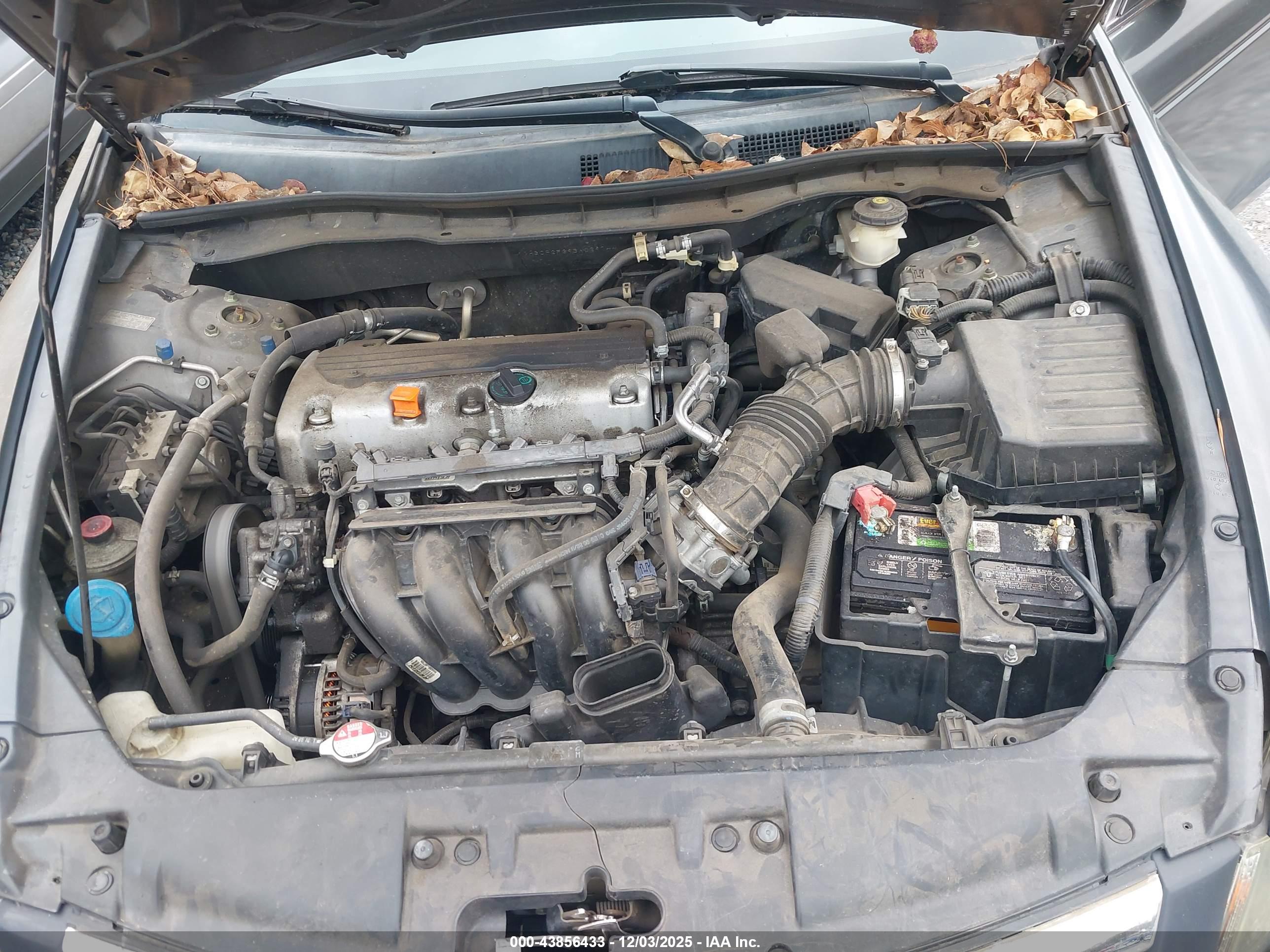 HONDA ACCORD image 10