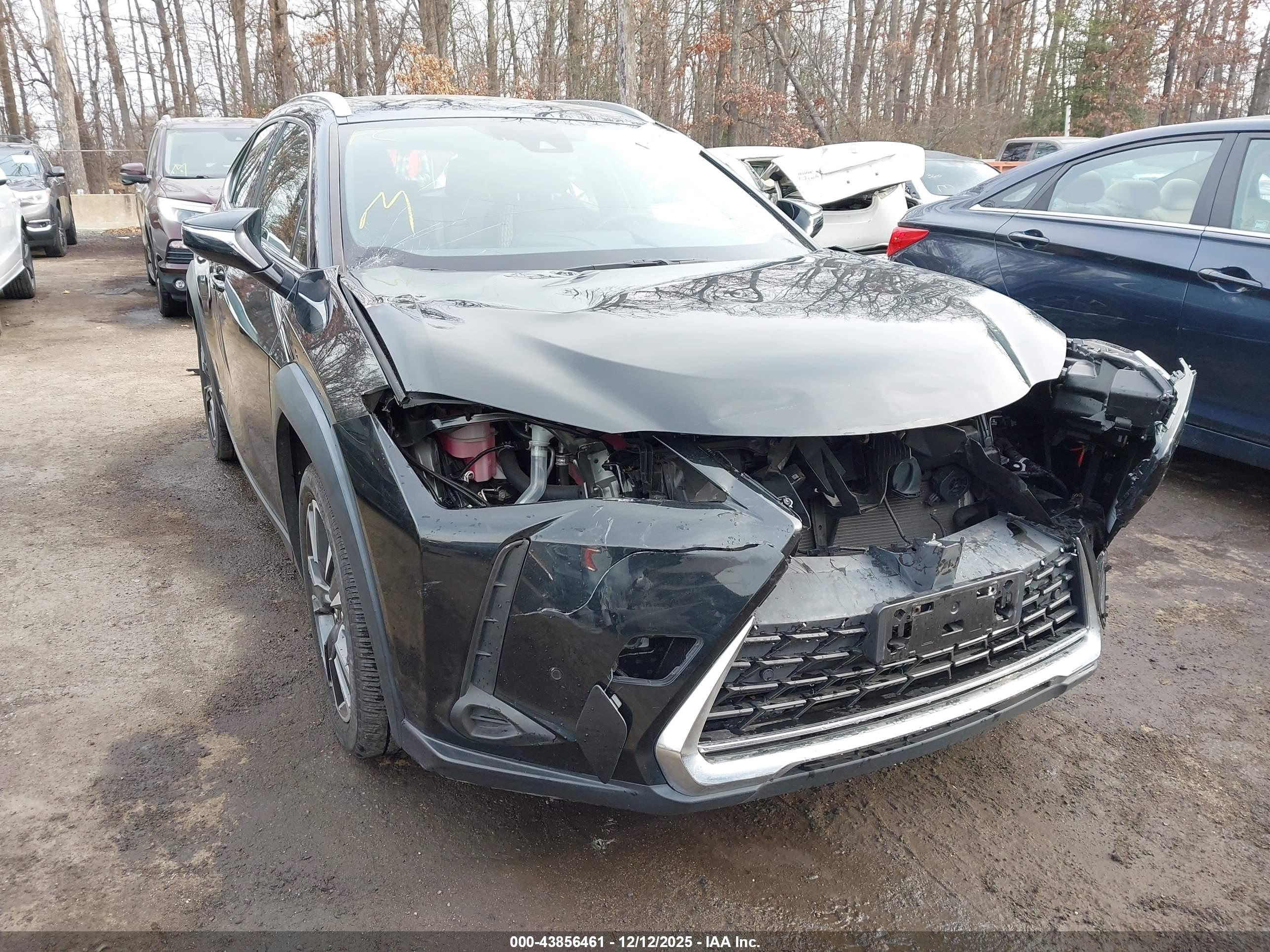 LEXUS UX image 6