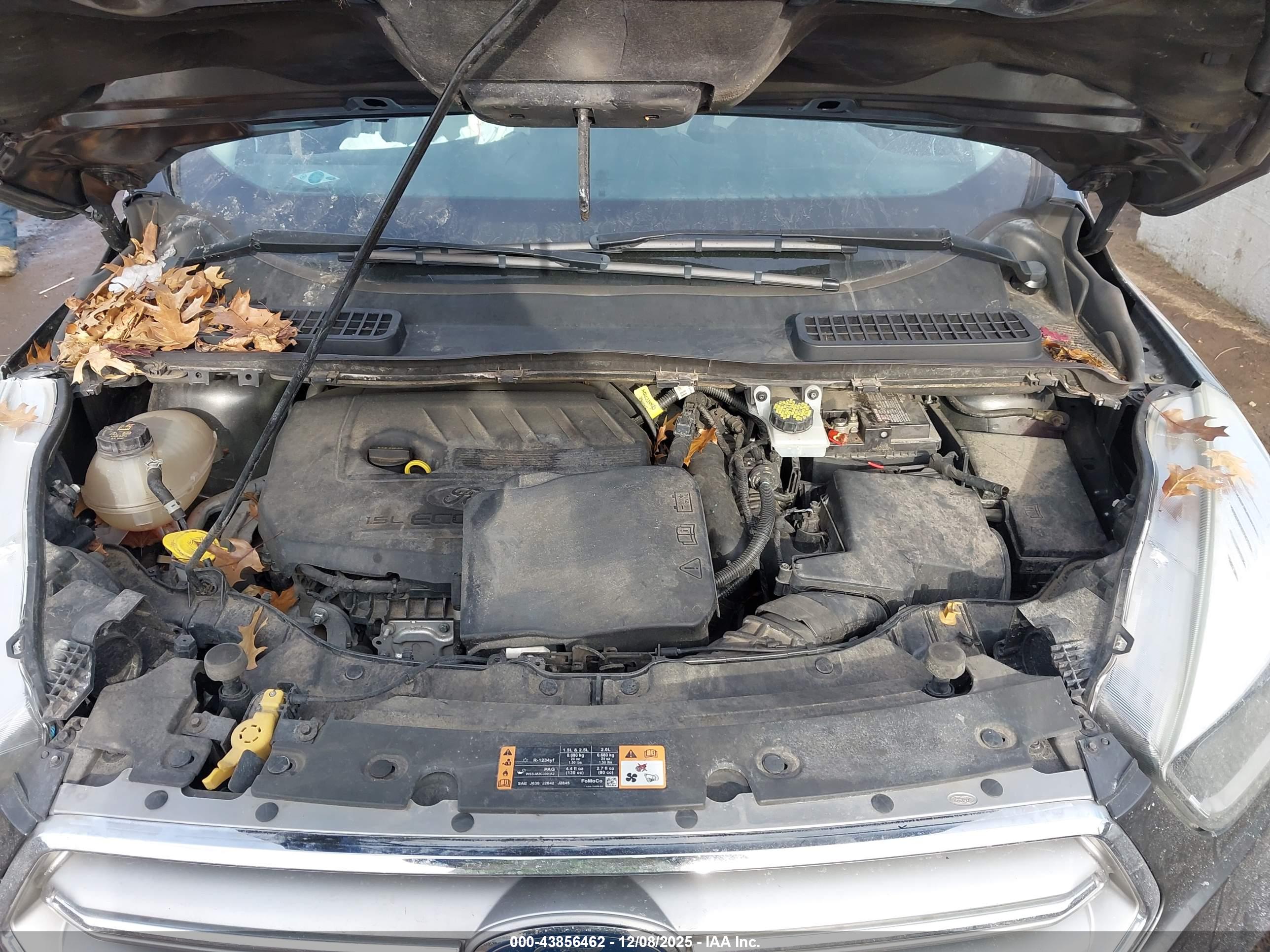 FORD ESCAPE image 10