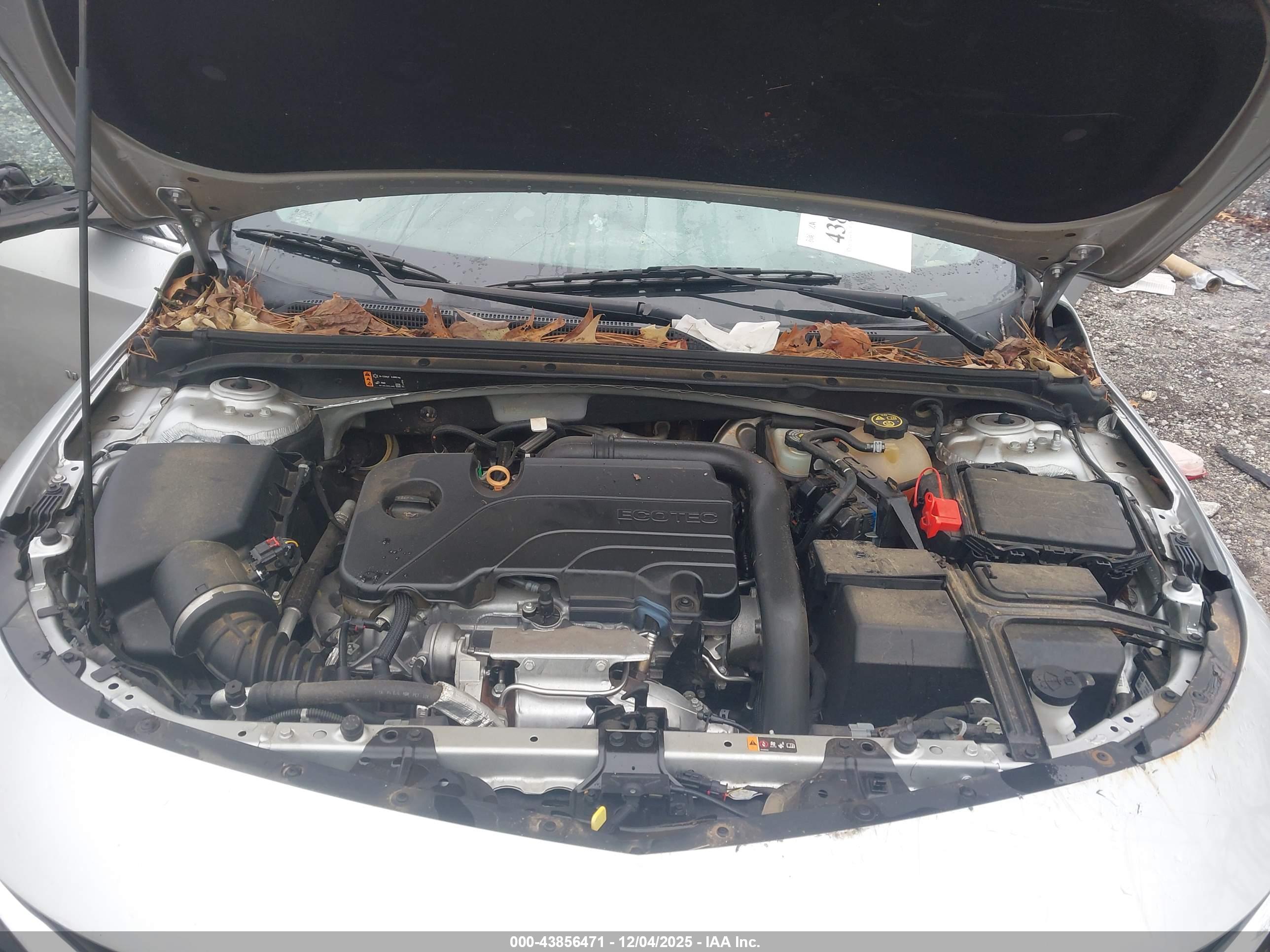 CHEVROLET MALIBU image 10