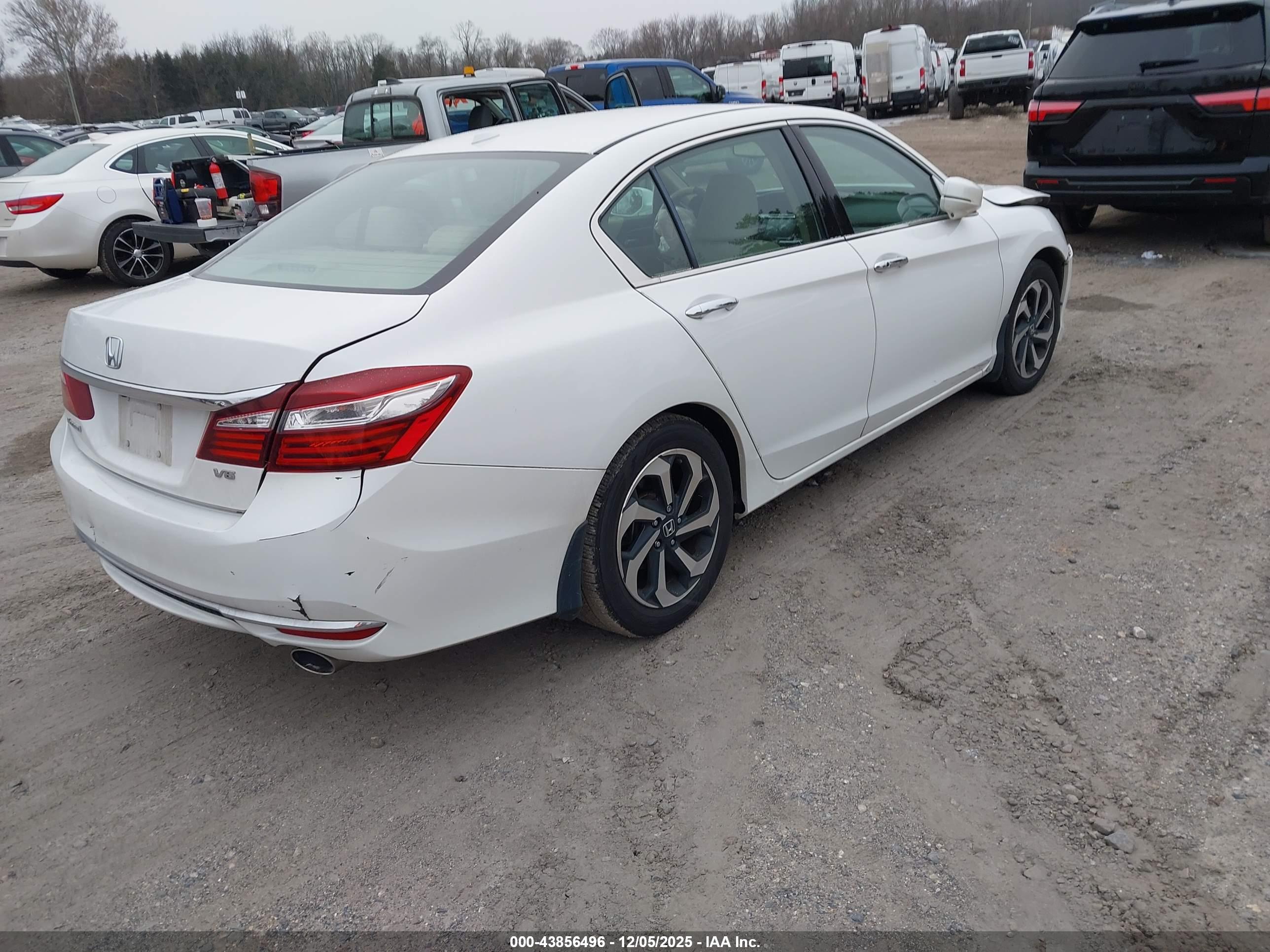 HONDA ACCORD image 4