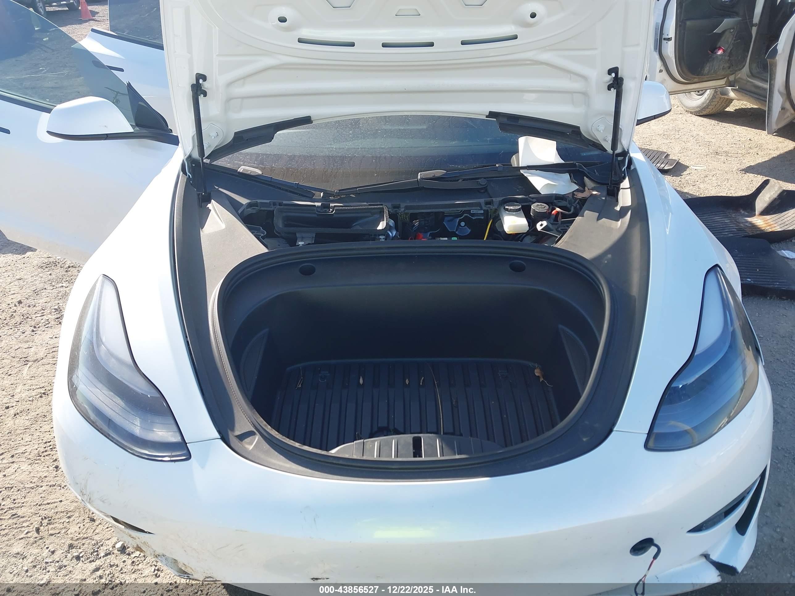 TESLA MODEL image 10