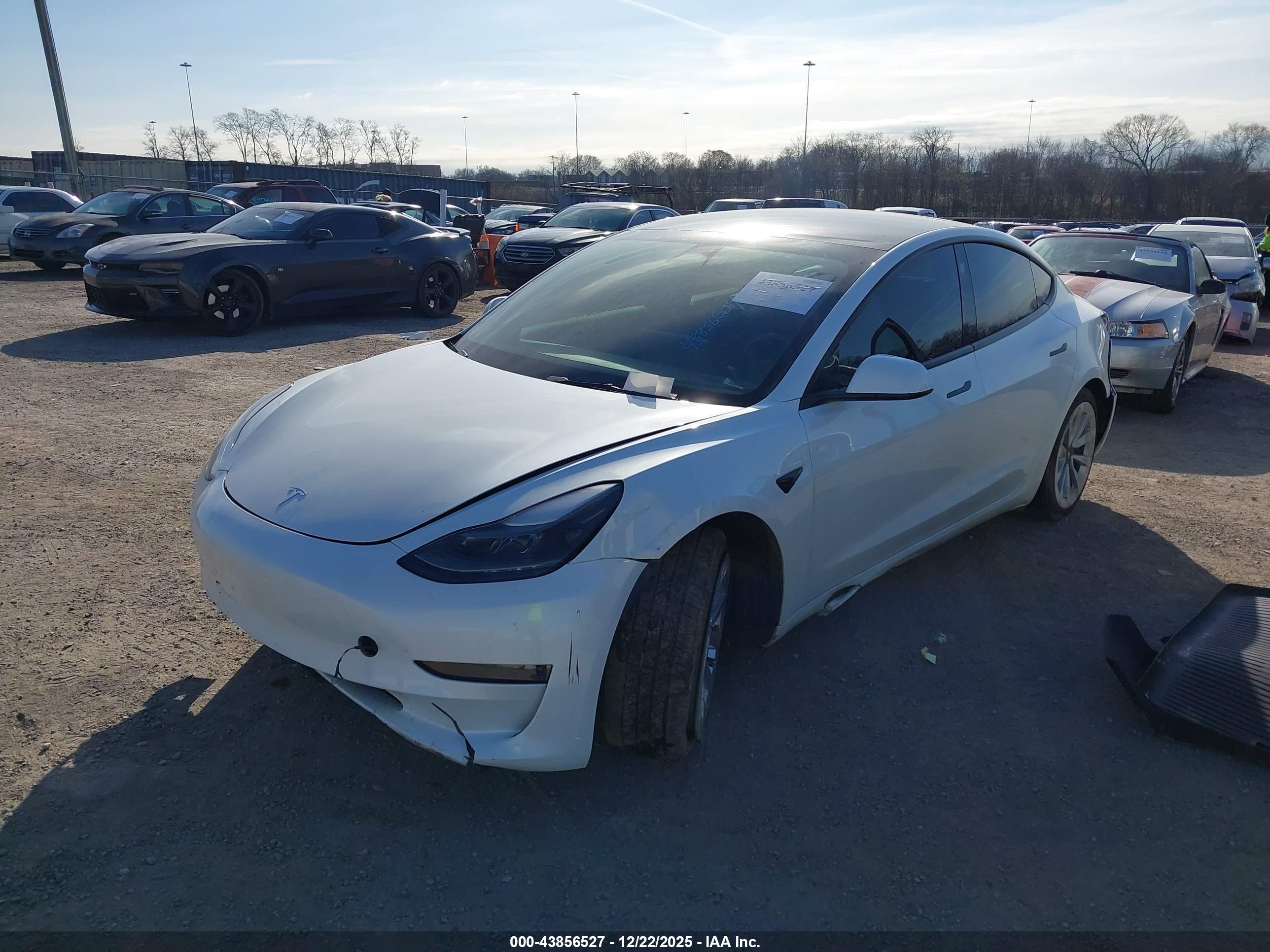 TESLA MODEL image 2