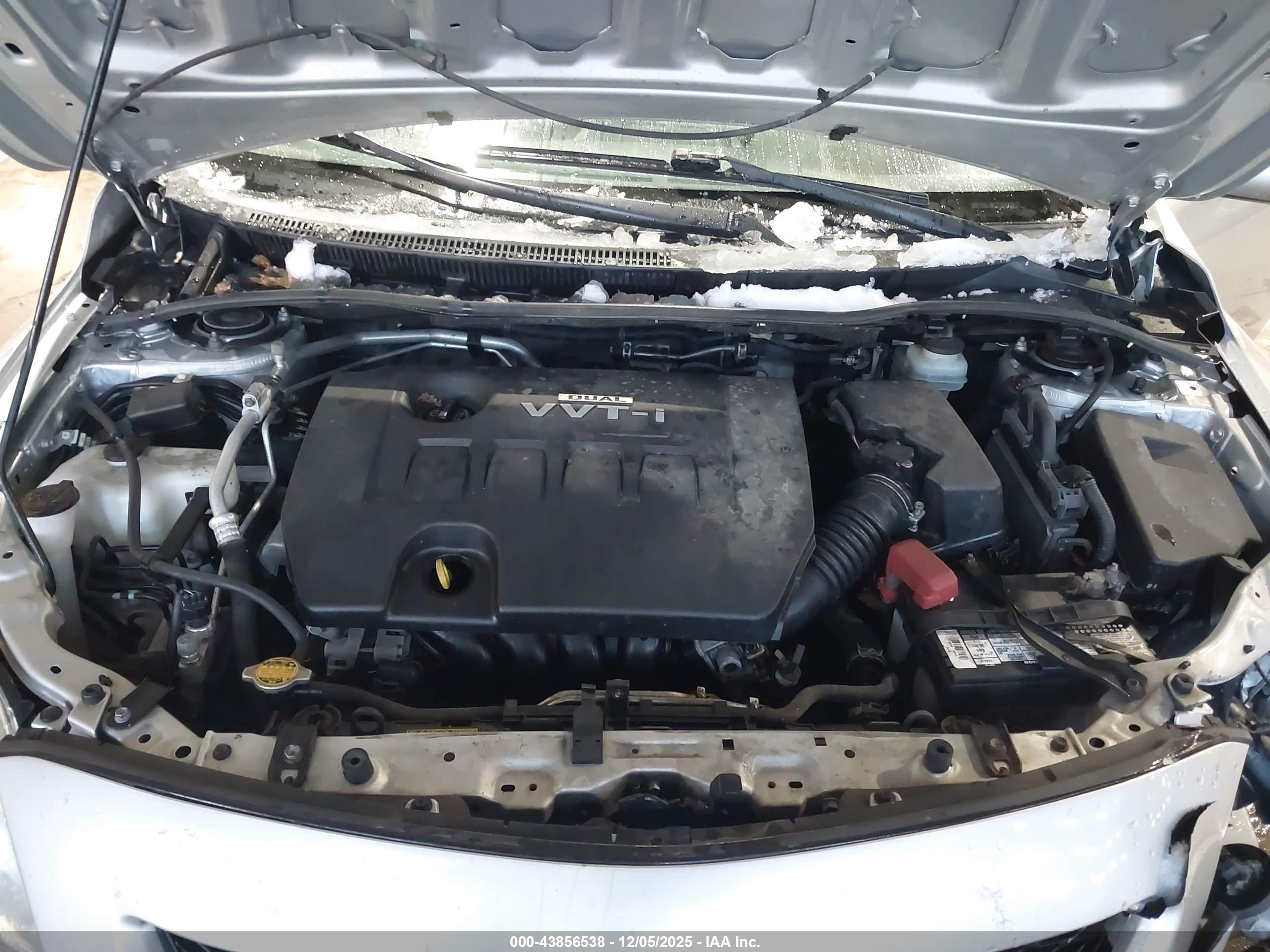 TOYOTA COROLLA image 10