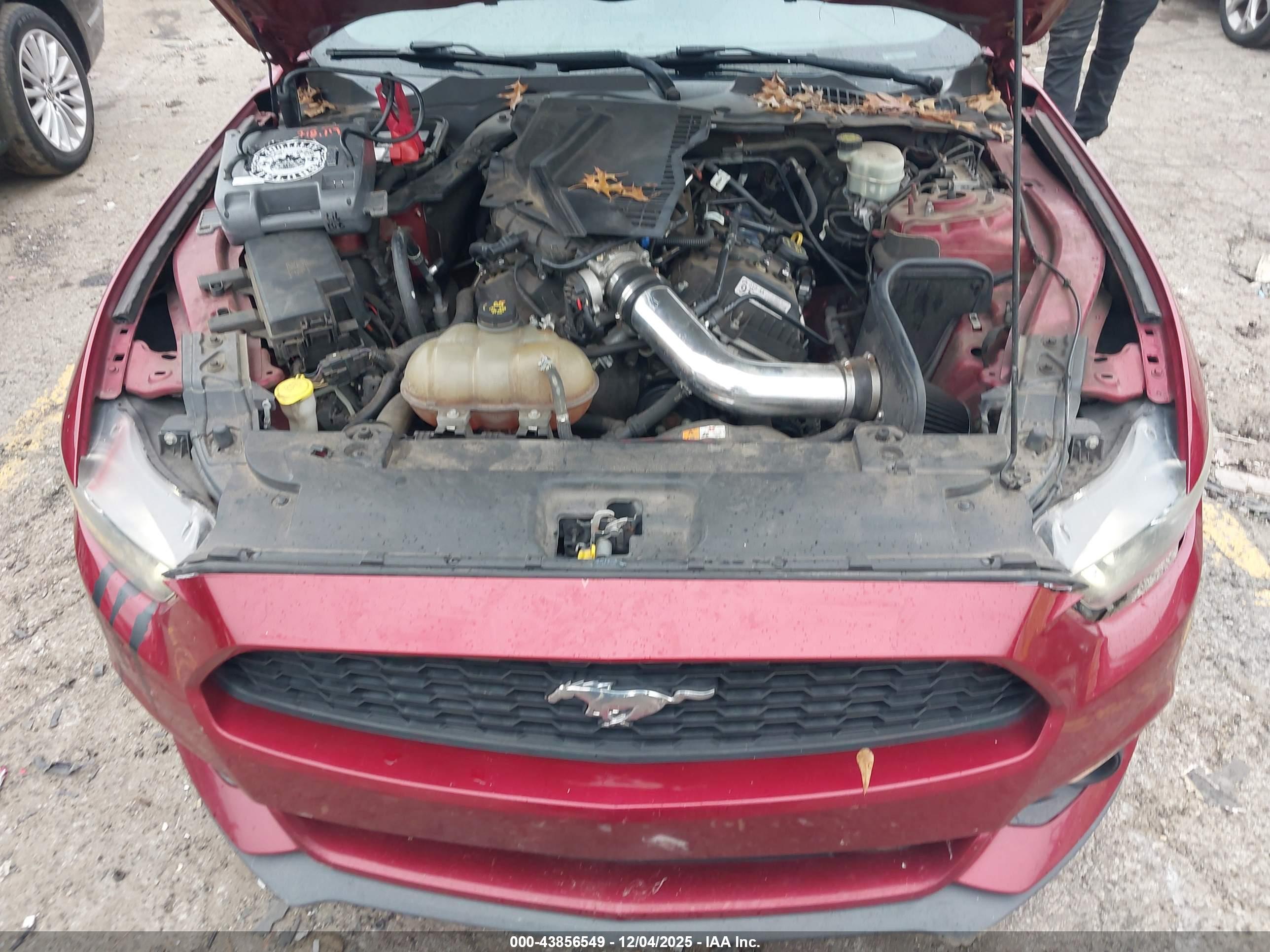 FORD MUSTANG image 10