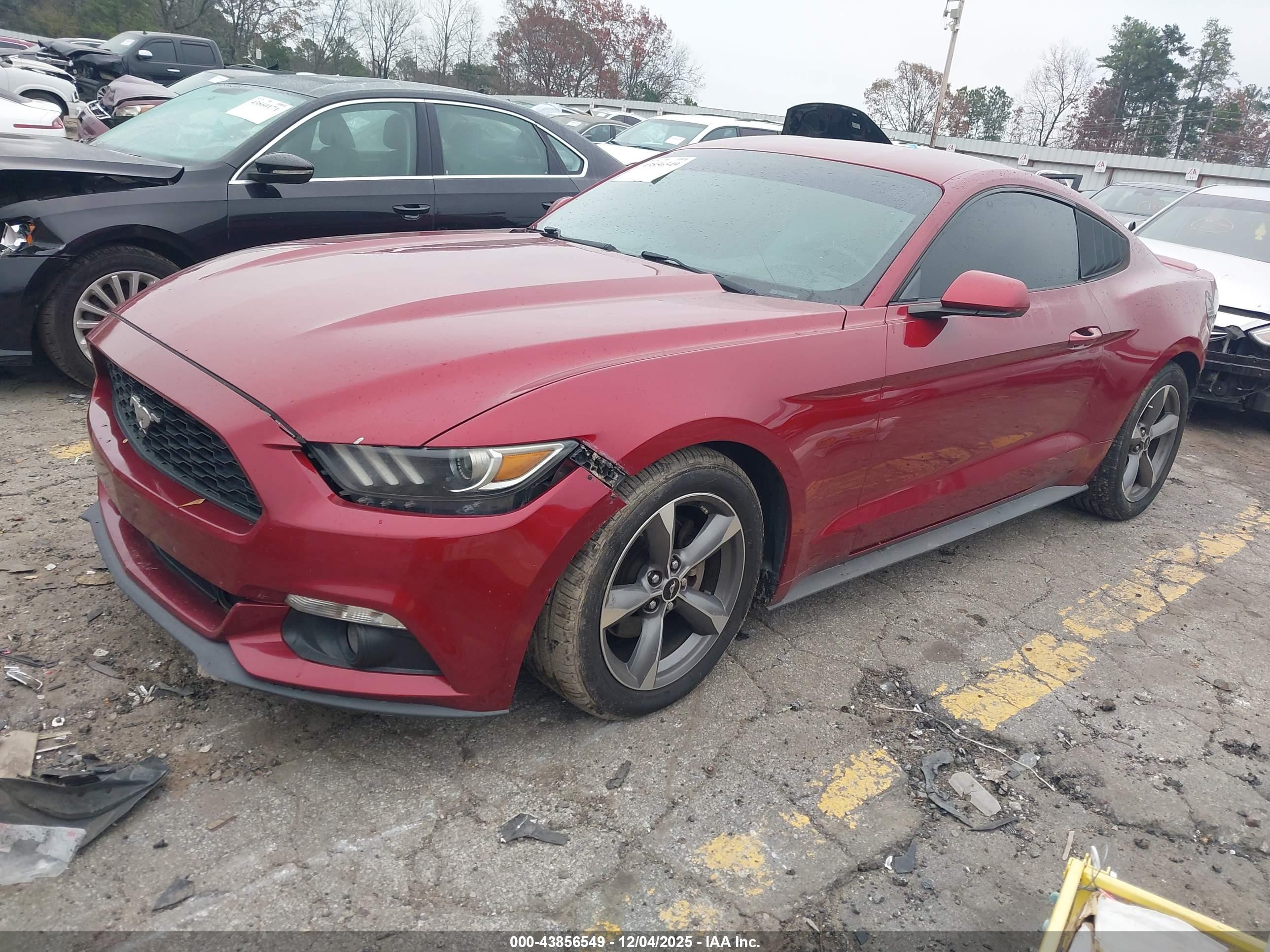 FORD MUSTANG image 2