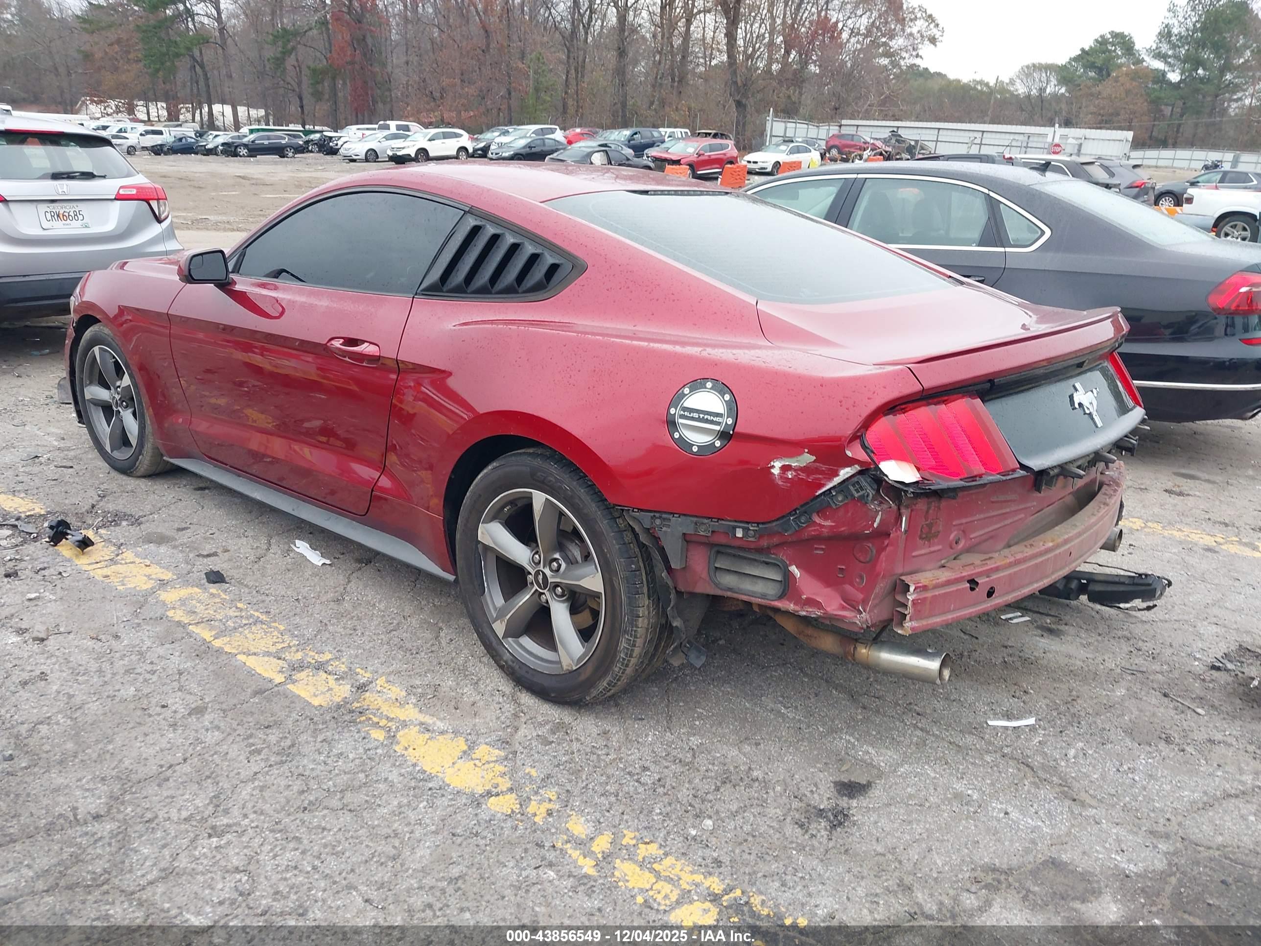 FORD MUSTANG image 3