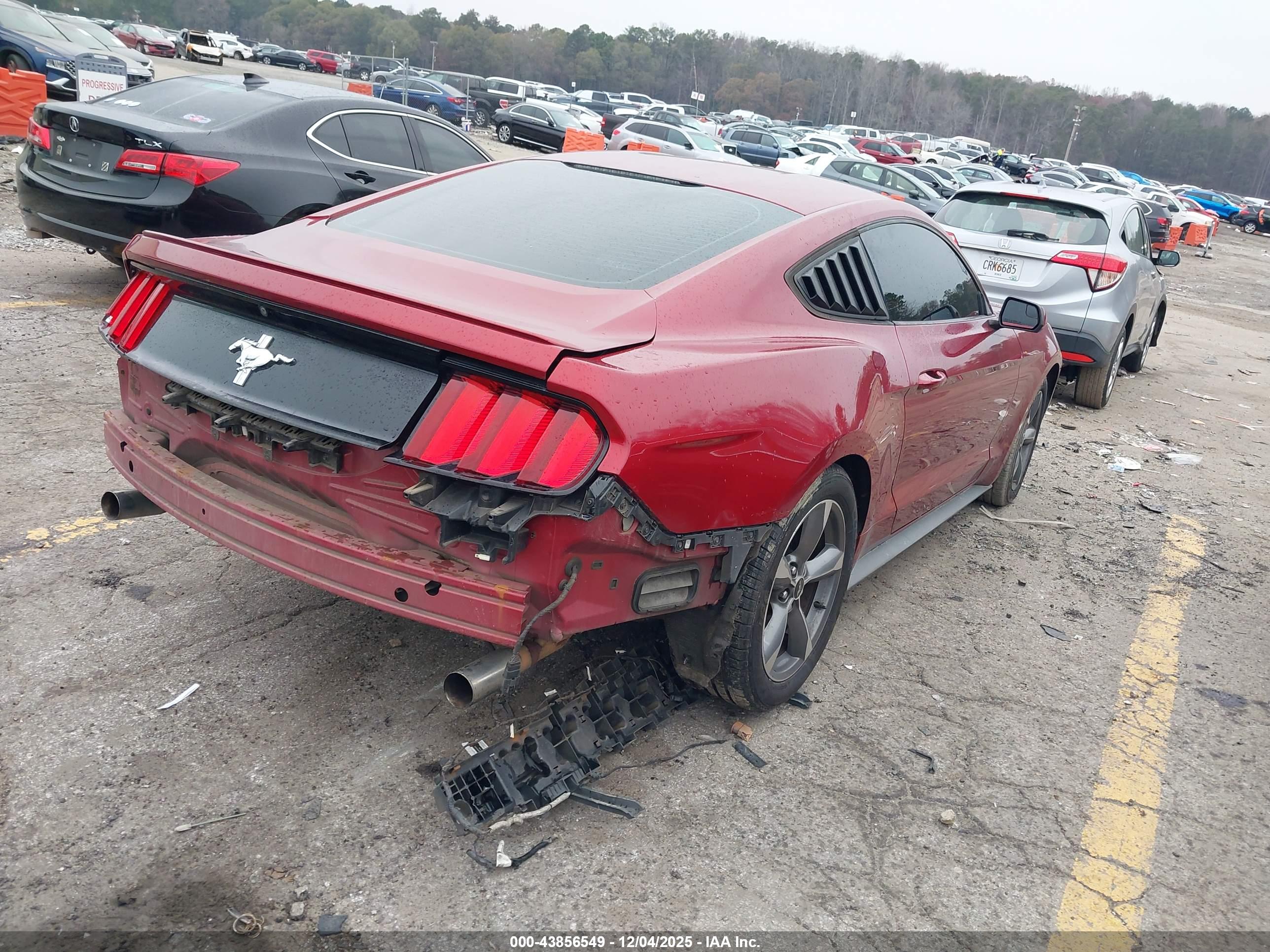 FORD MUSTANG image 4