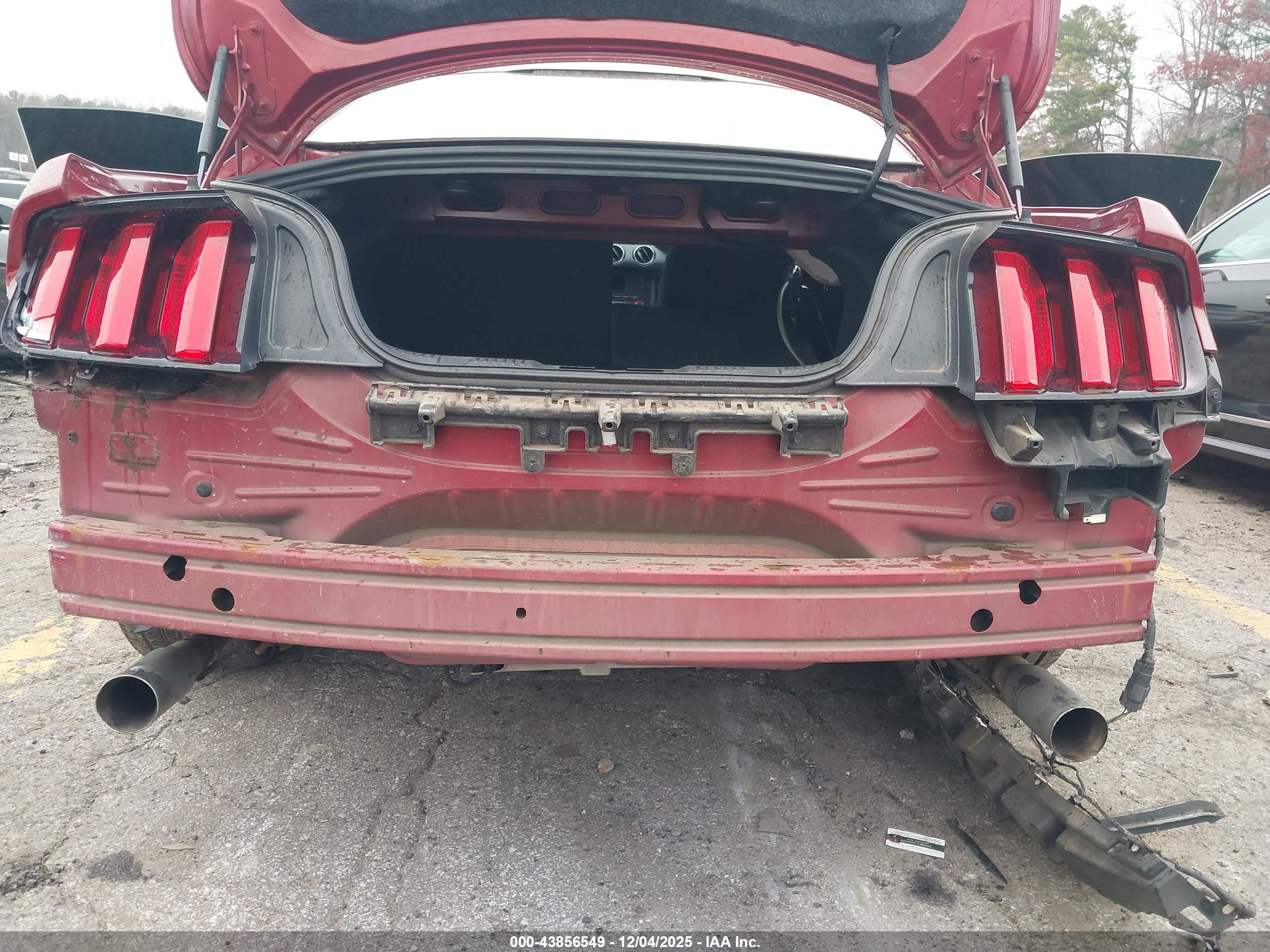 FORD MUSTANG image 6