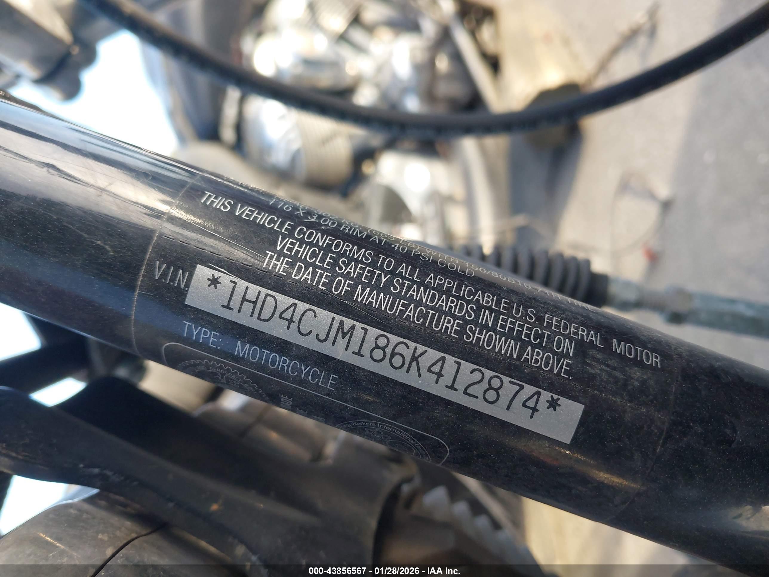 HARLEY-DAVIDSON XL883 image 10