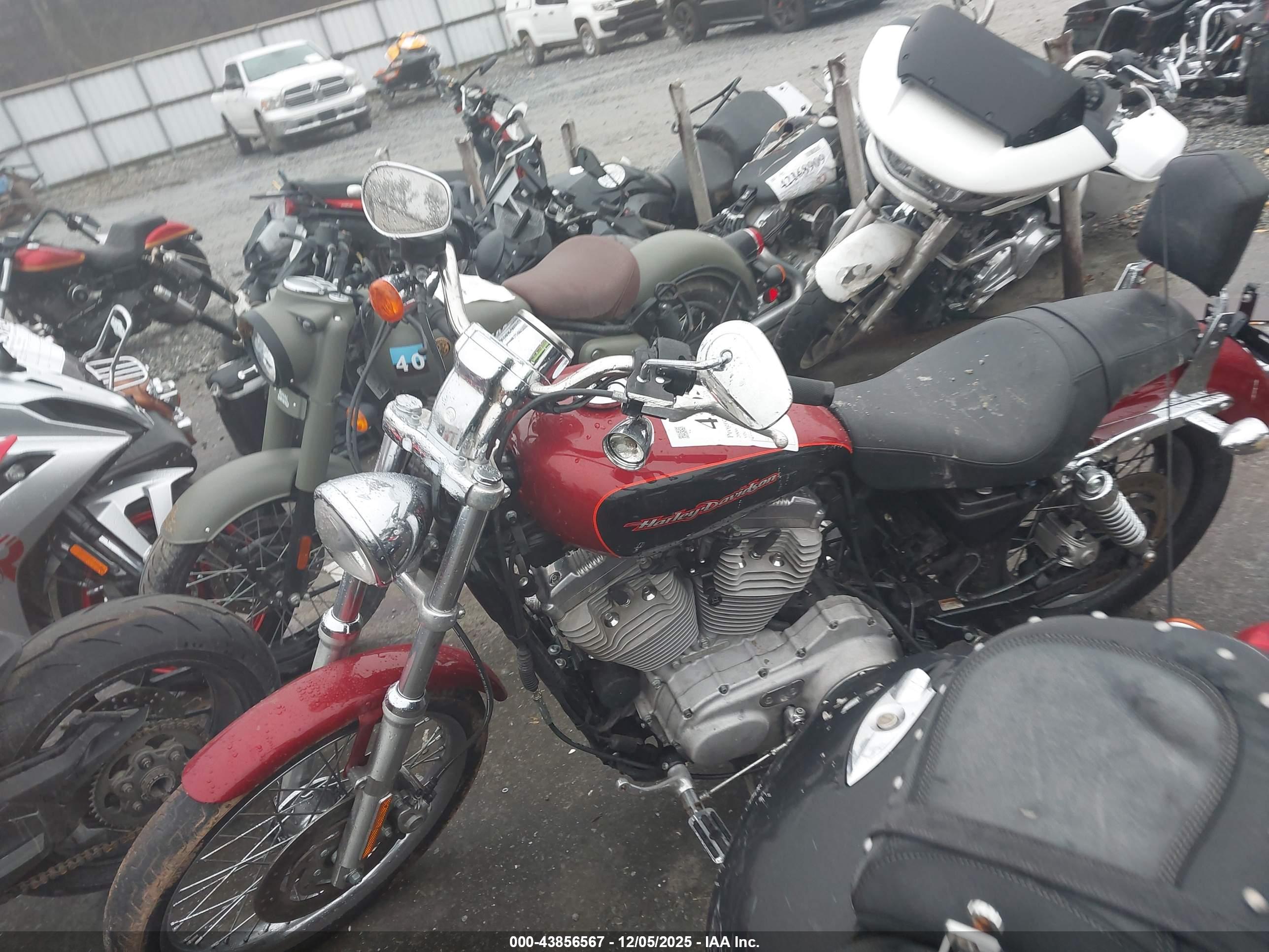 HARLEY-DAVIDSON XL883 image 2