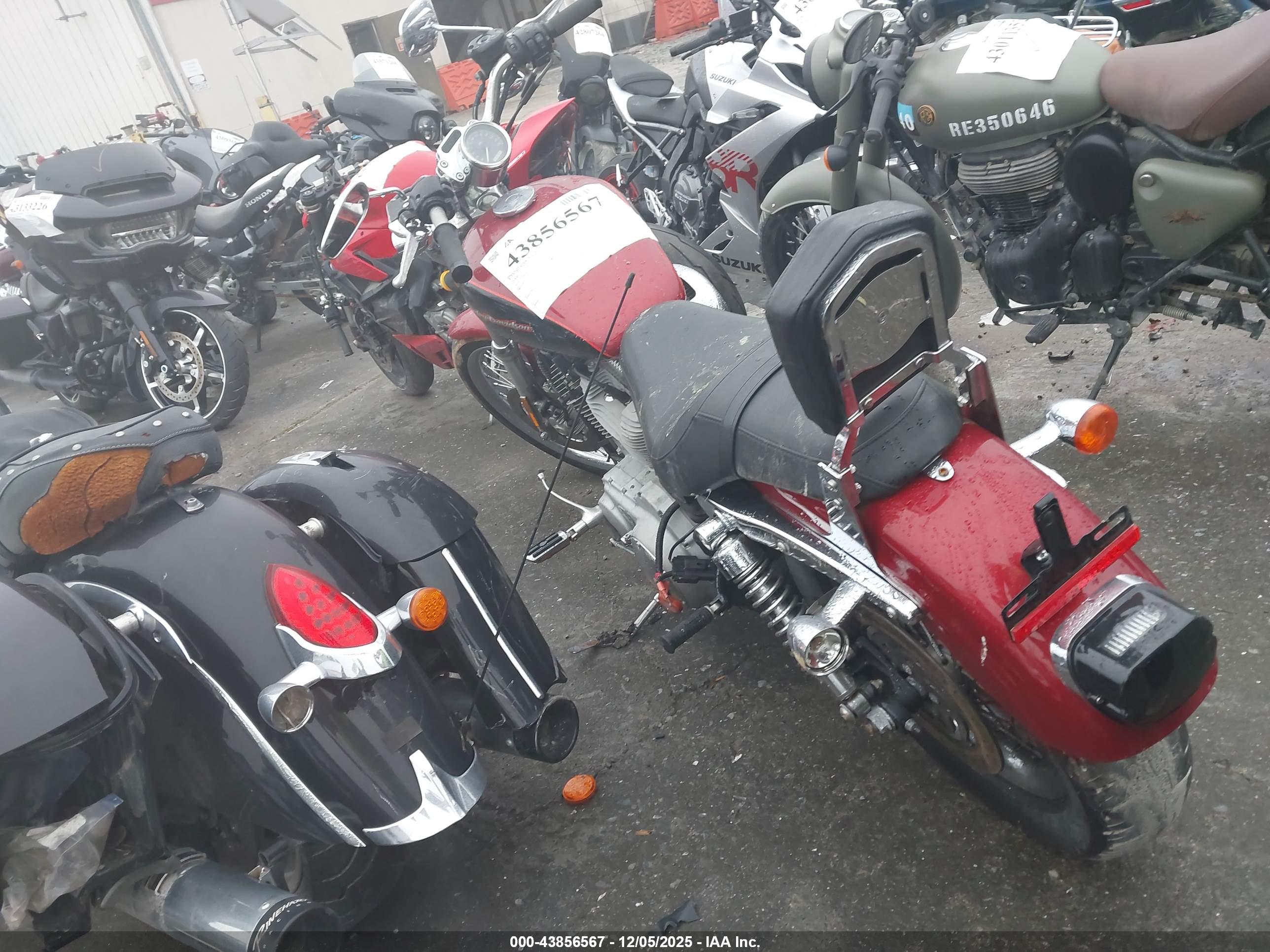 HARLEY-DAVIDSON XL883 image 3