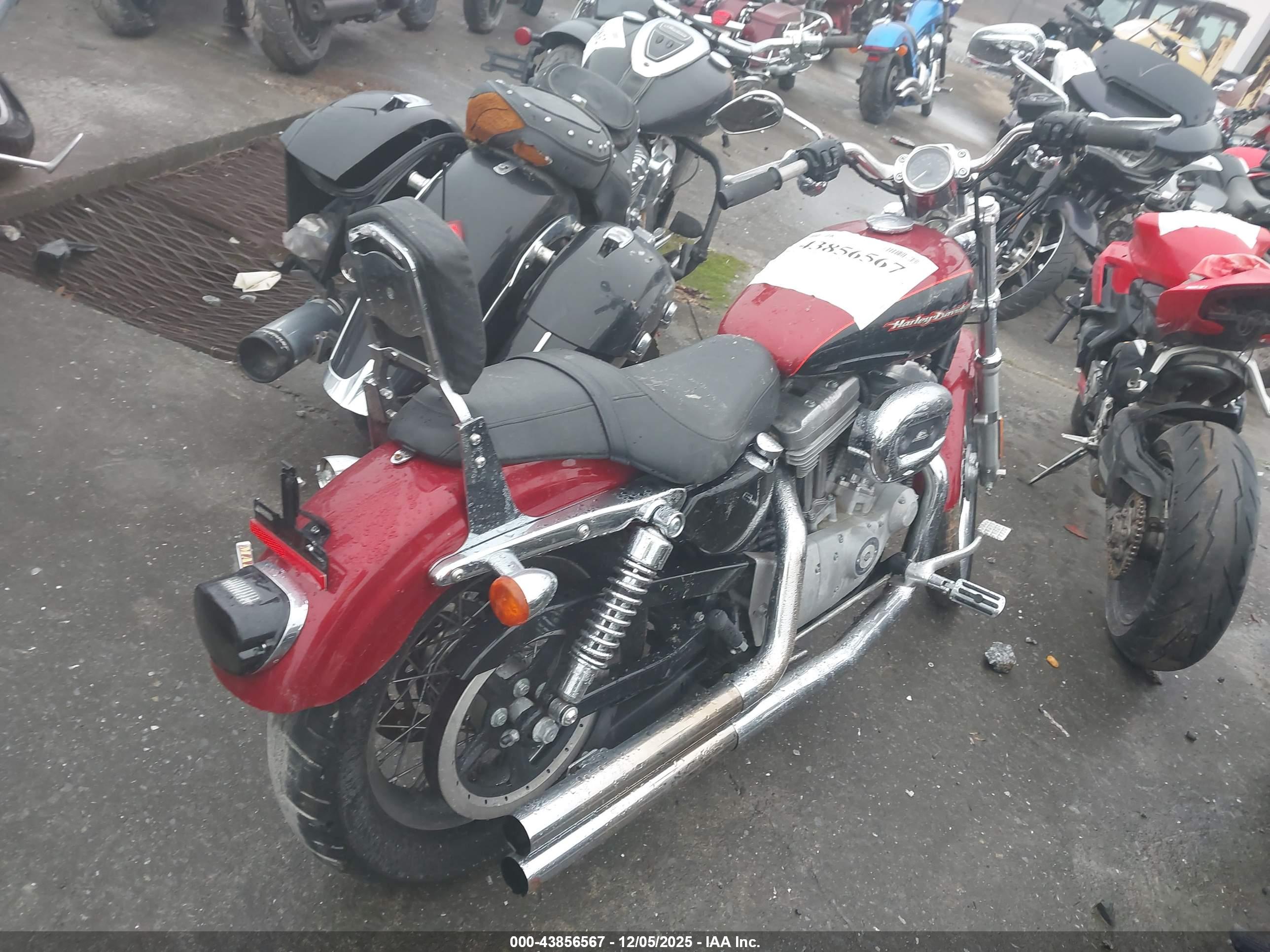 HARLEY-DAVIDSON XL883 image 4