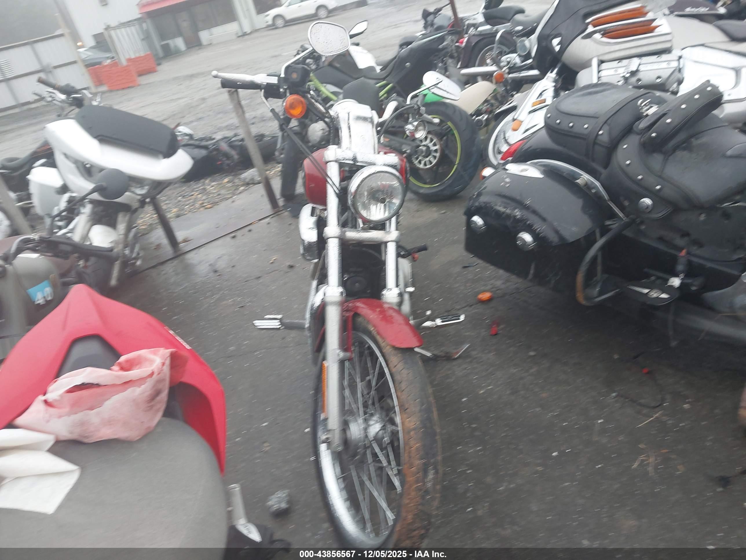 HARLEY-DAVIDSON XL883 image 5