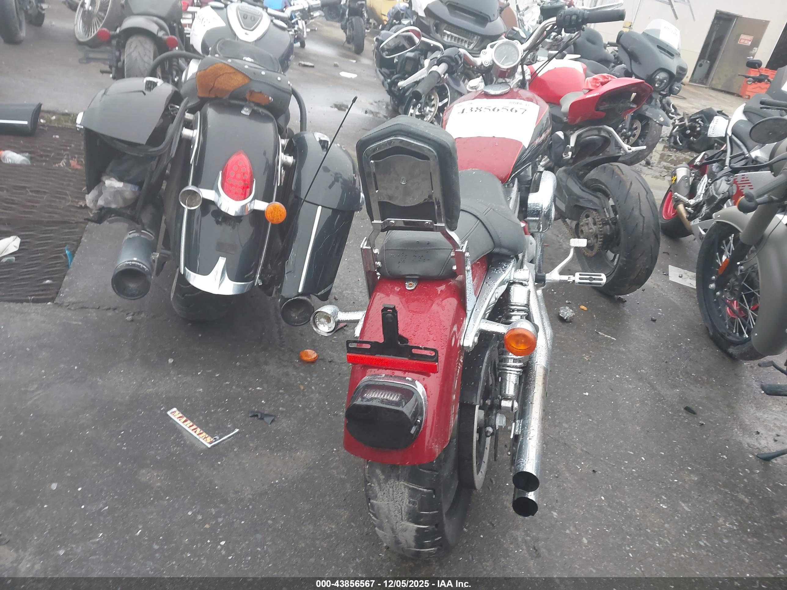 HARLEY-DAVIDSON XL883 image 6
