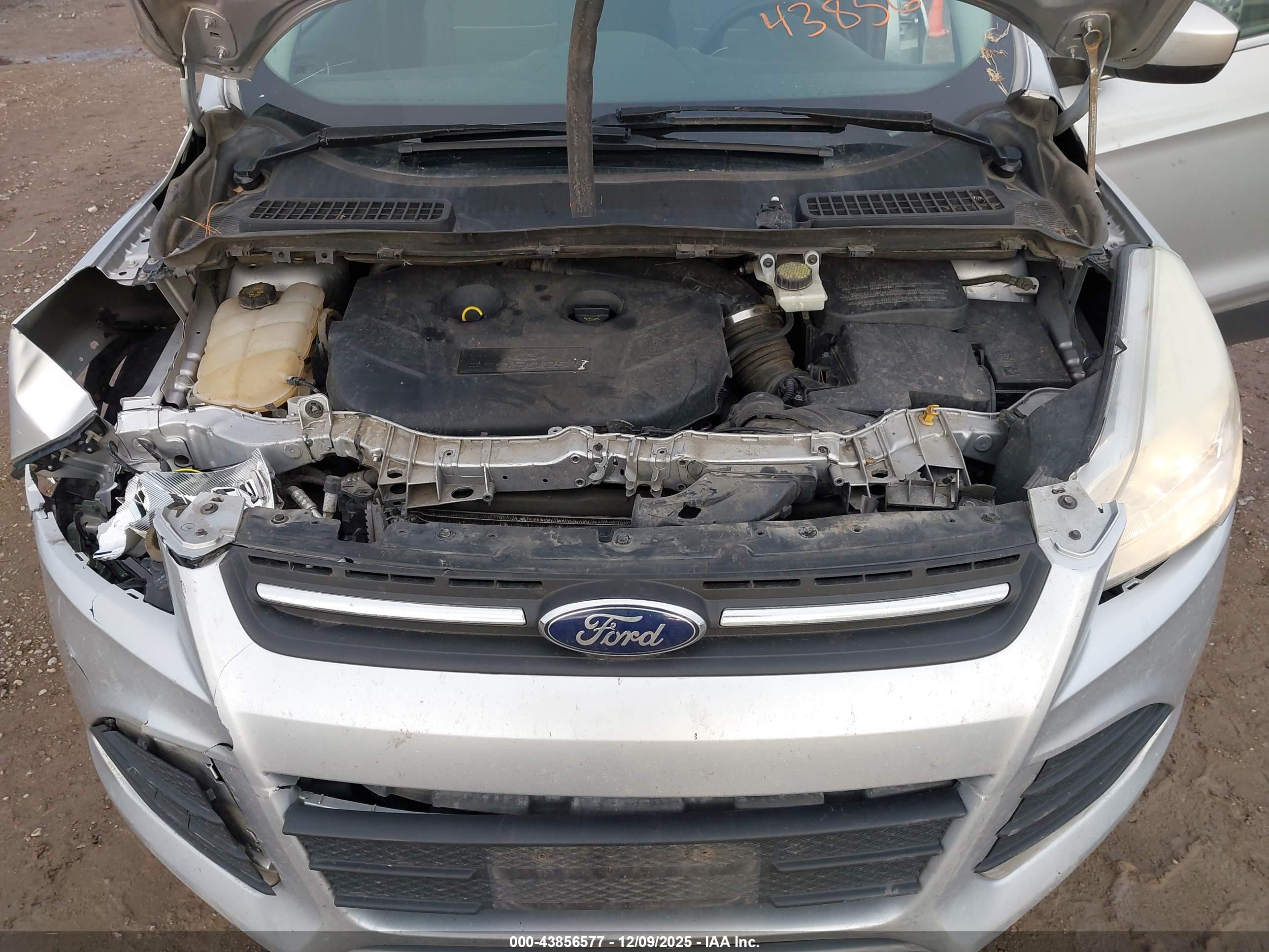 FORD ESCAPE image 10