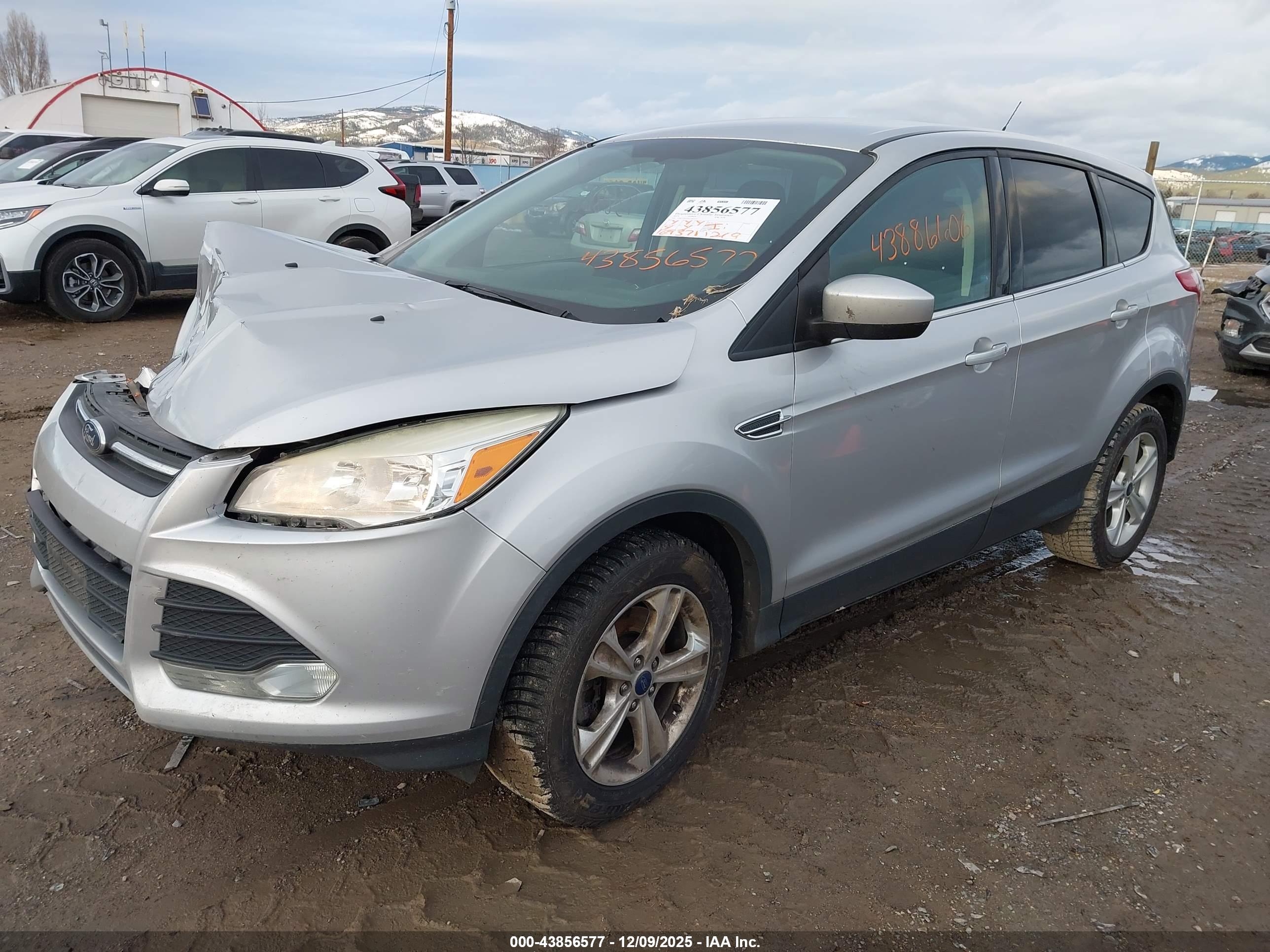 FORD ESCAPE image 2