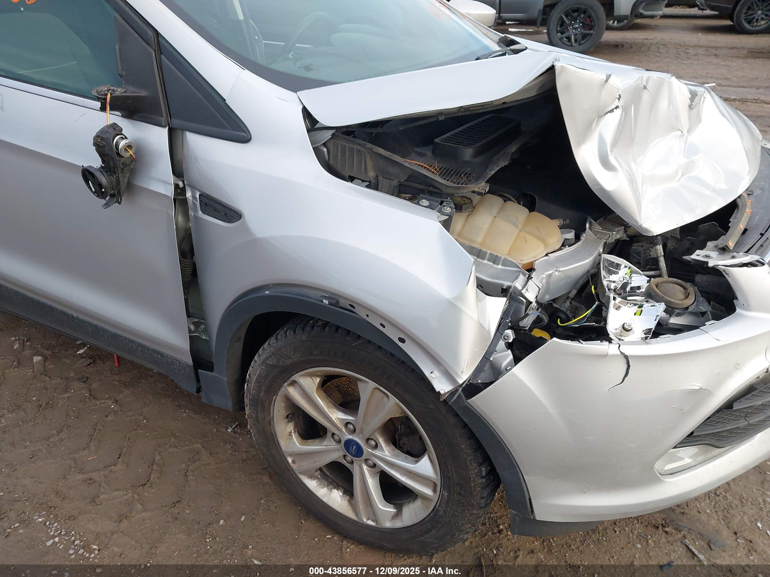 FORD ESCAPE image 6