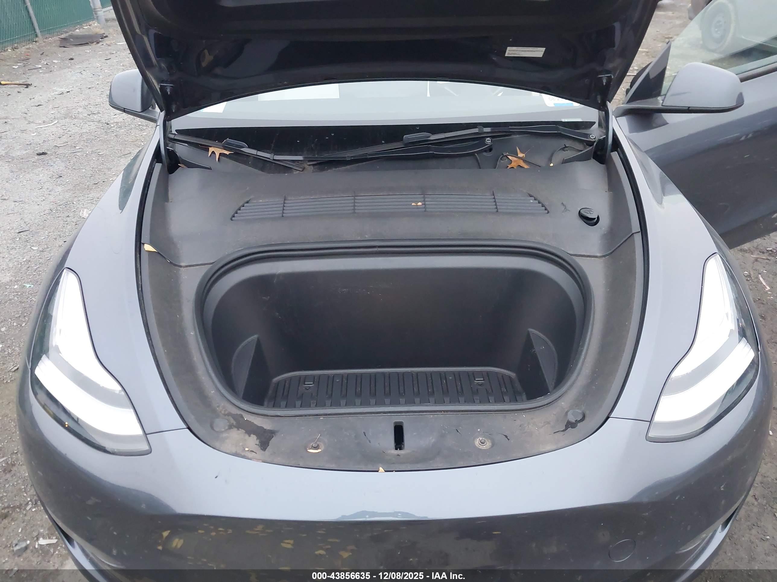 TESLA MODEL image 10