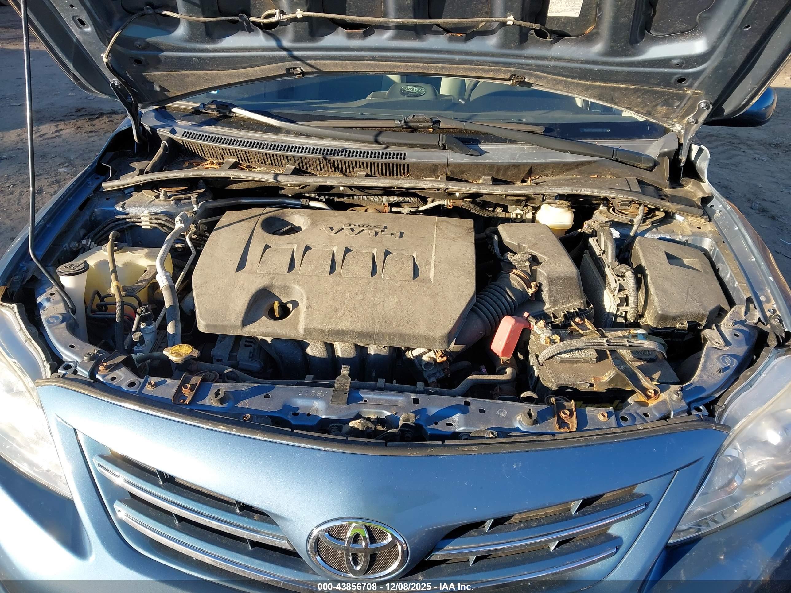 TOYOTA COROLLA image 10