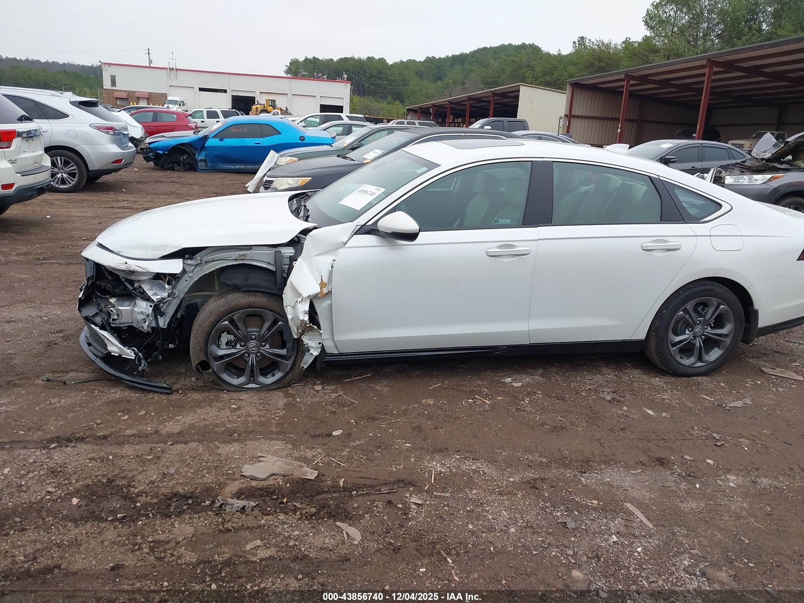 HONDA ACCORD image 6