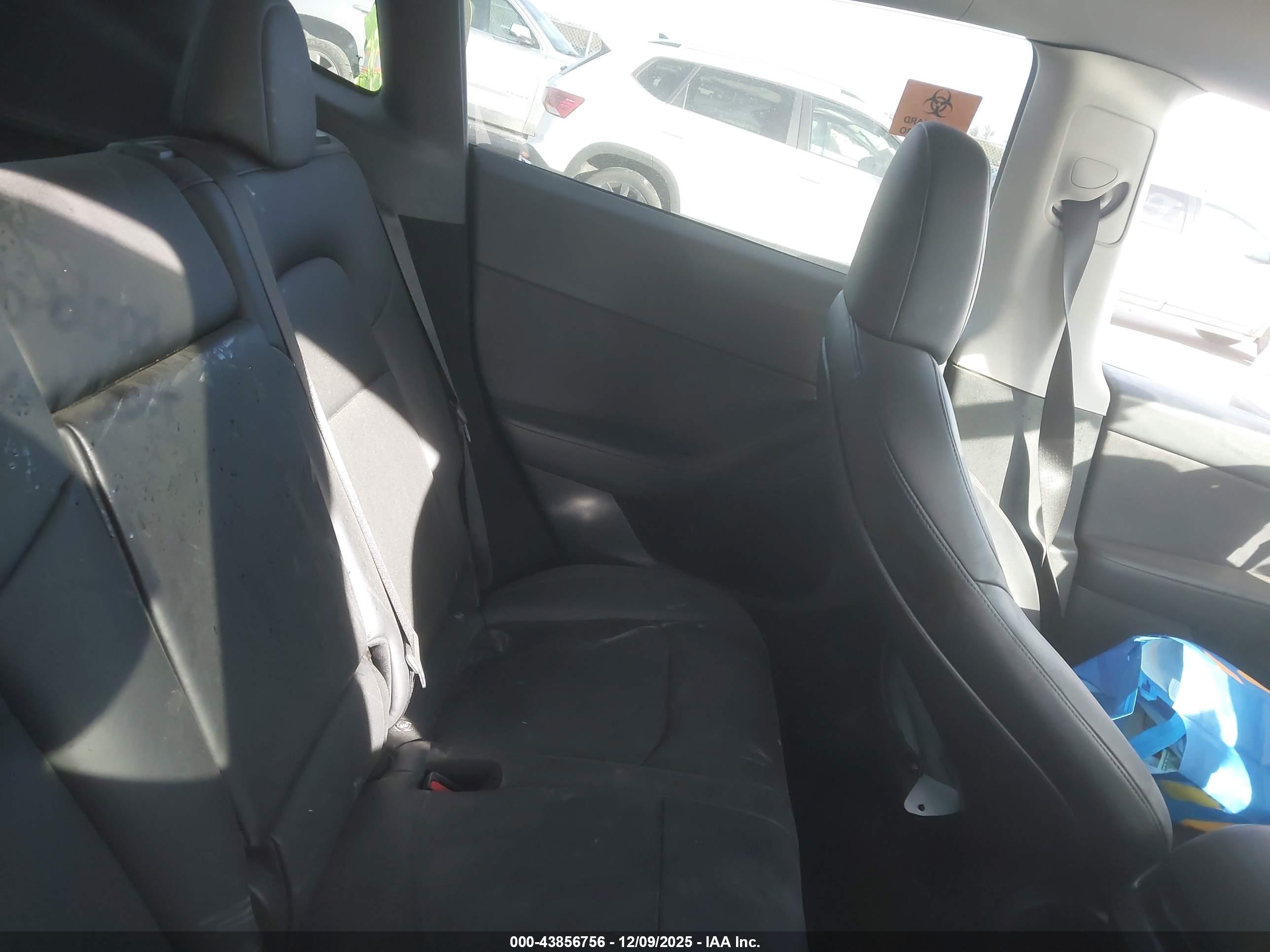 TESLA MODEL image 8