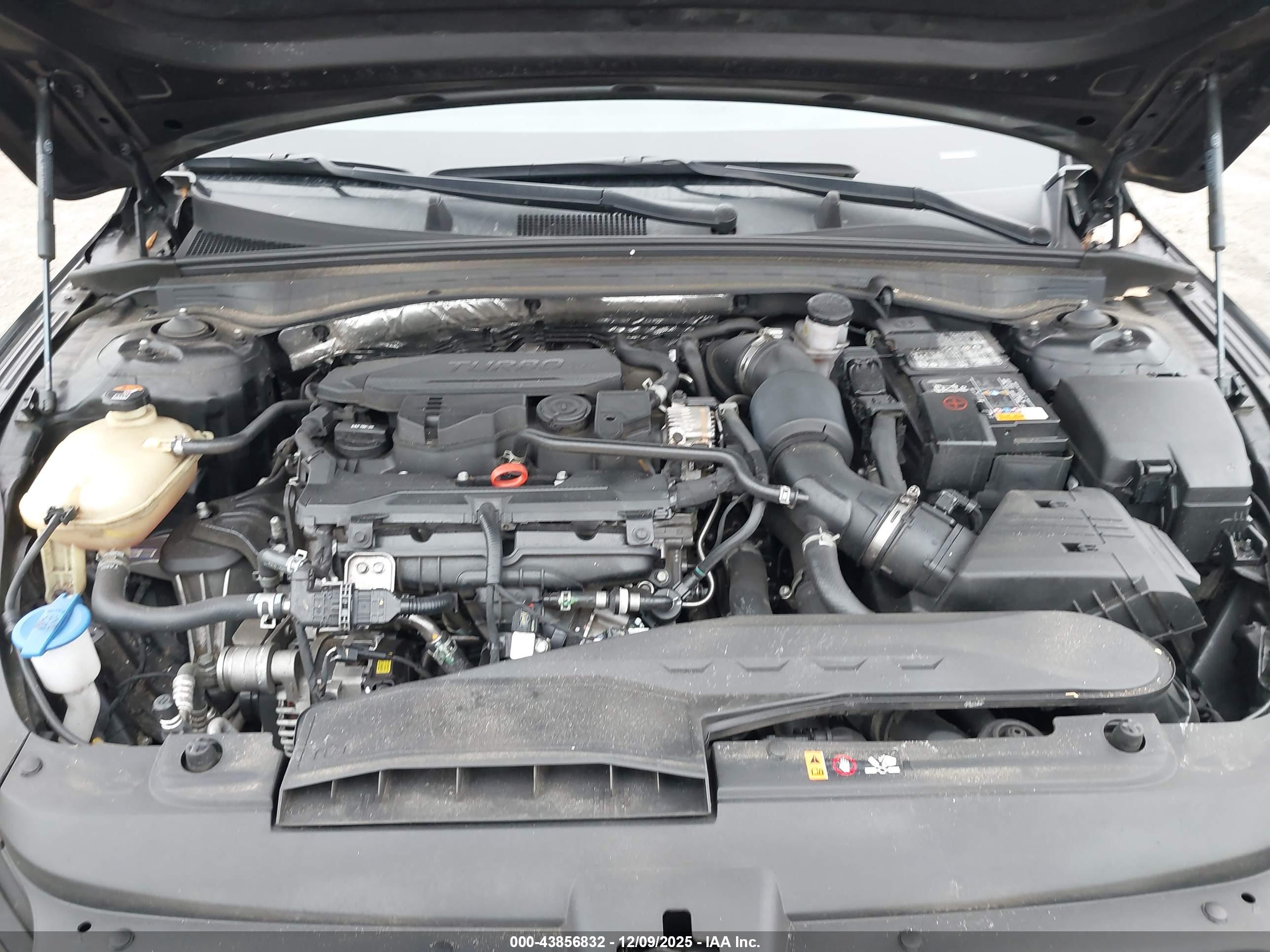KIA K5 image 10