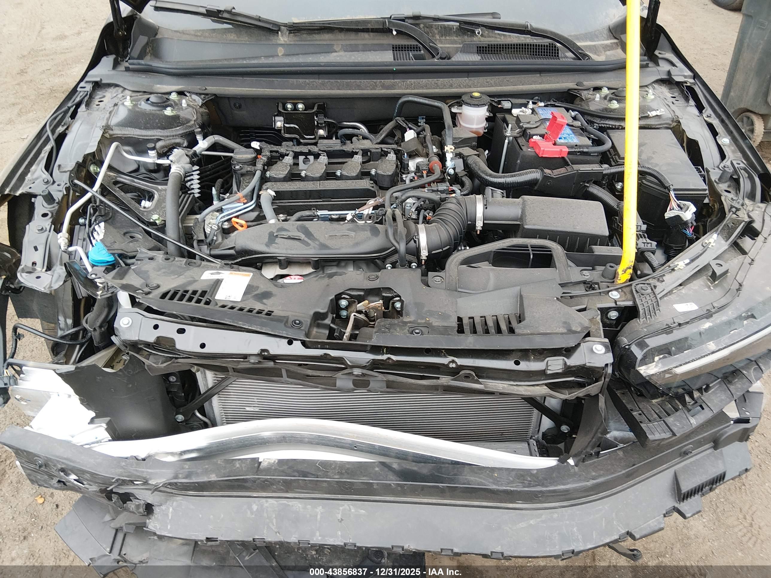 HONDA ACCORD image 10